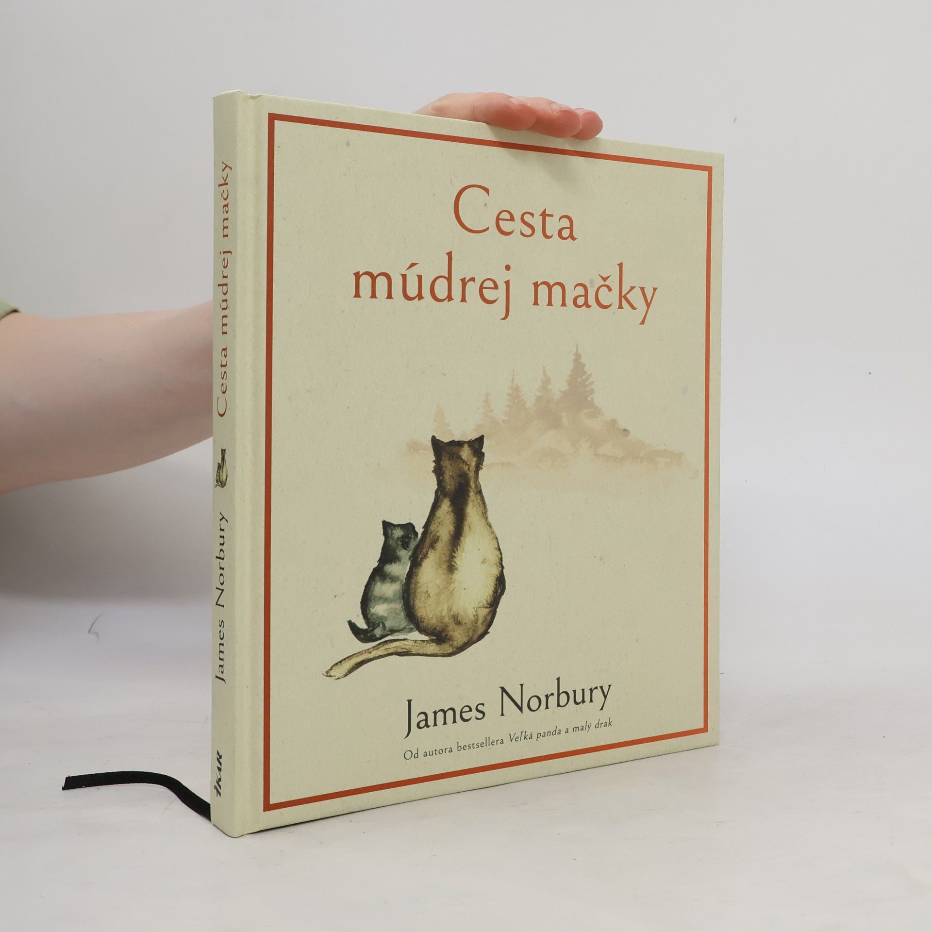 James Norbury Cesta múdrej mačky