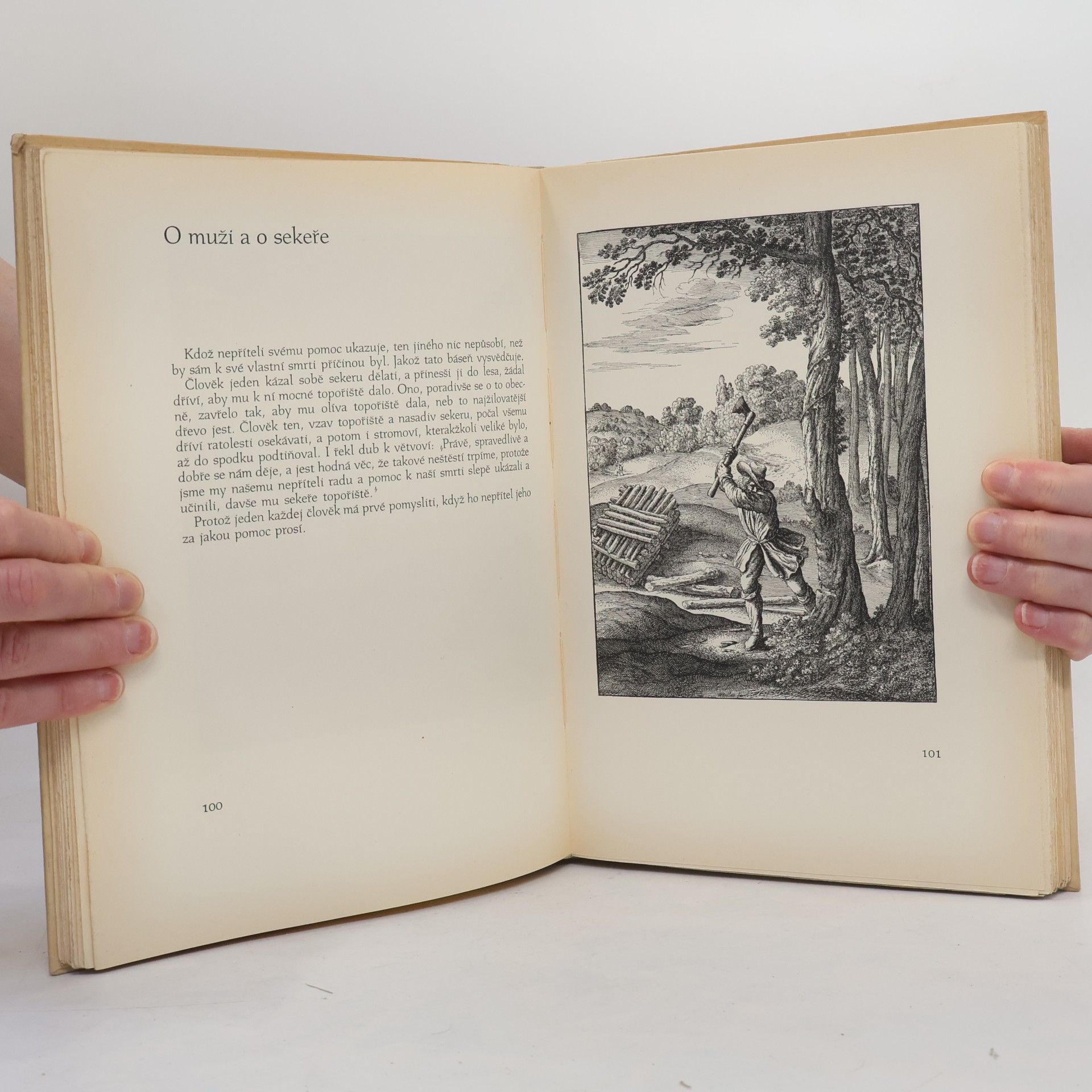Václav Hollar Ezop Václava Hollara