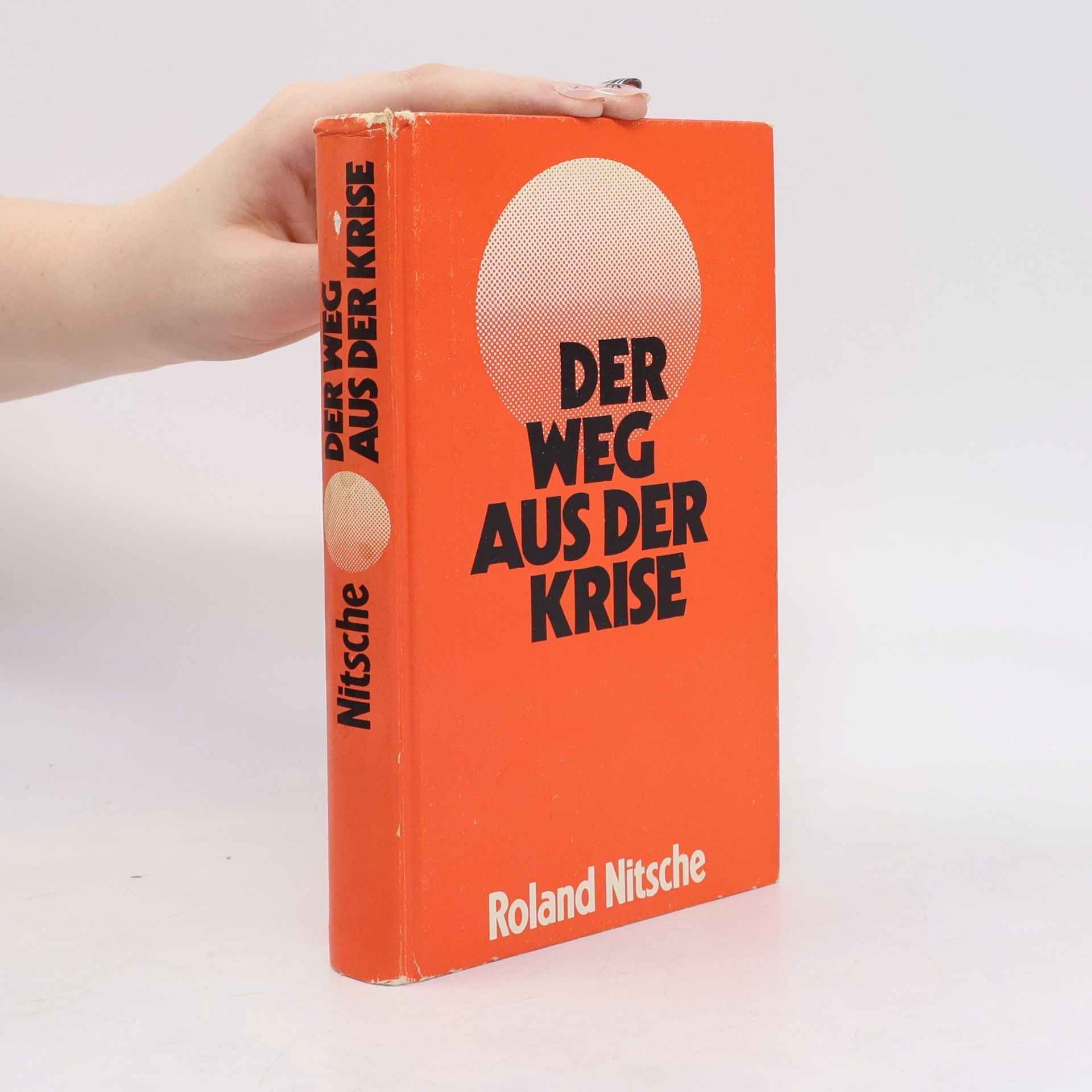 Roland Nitsche Der Weg aus der Krise