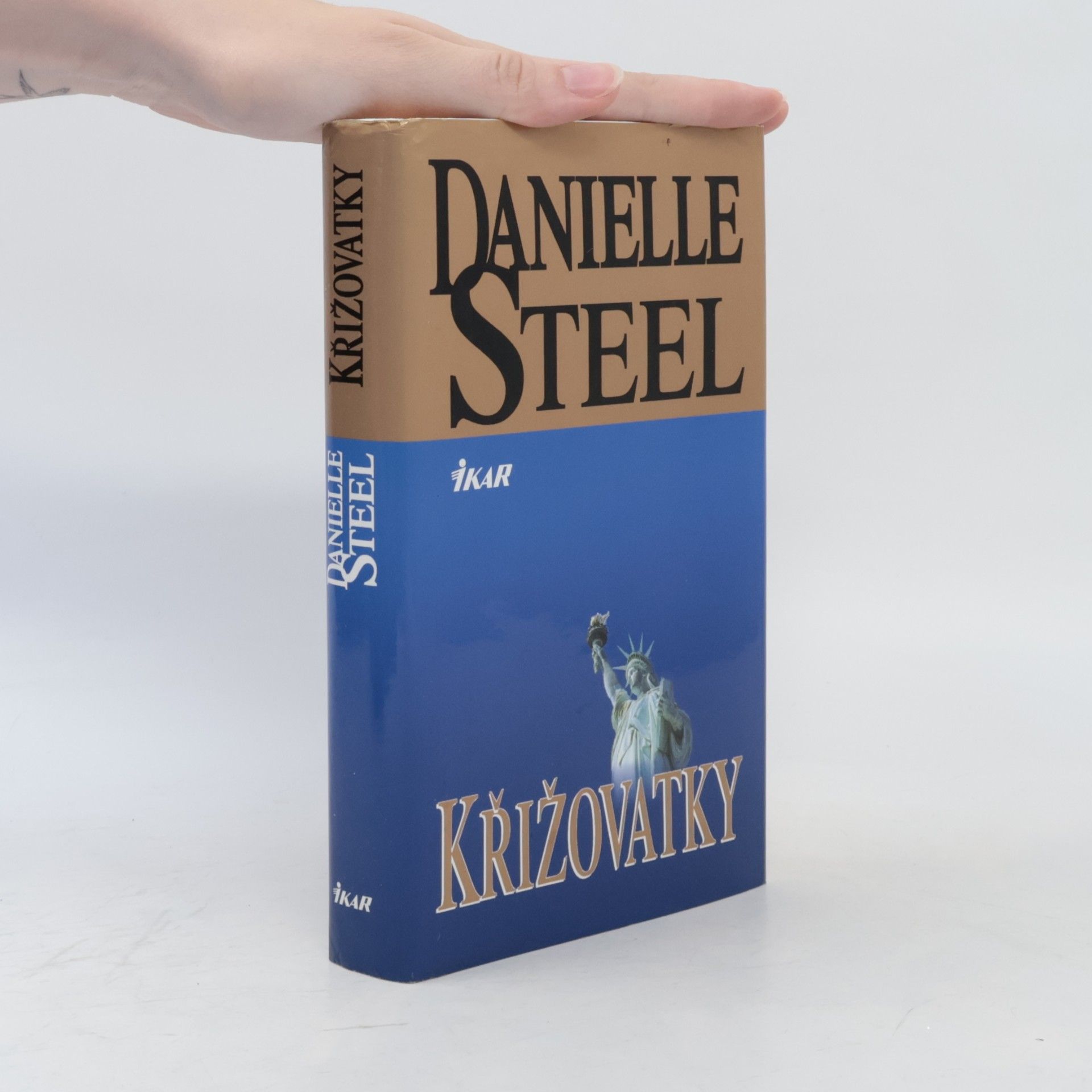Danielle Steel Křižovatky