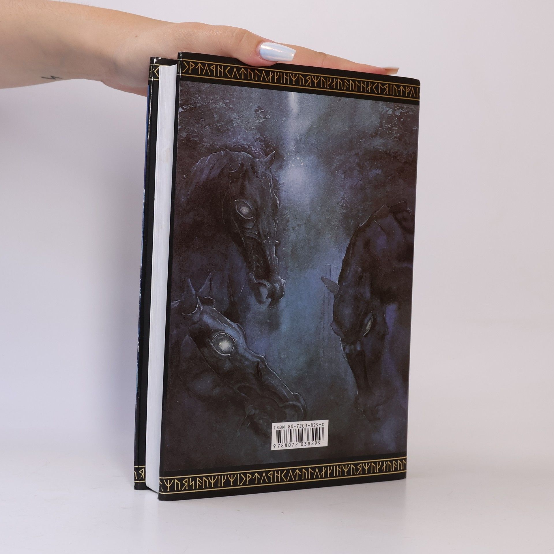J. R. R. Tolkien Pán prstenů. Společenstvo prstenu