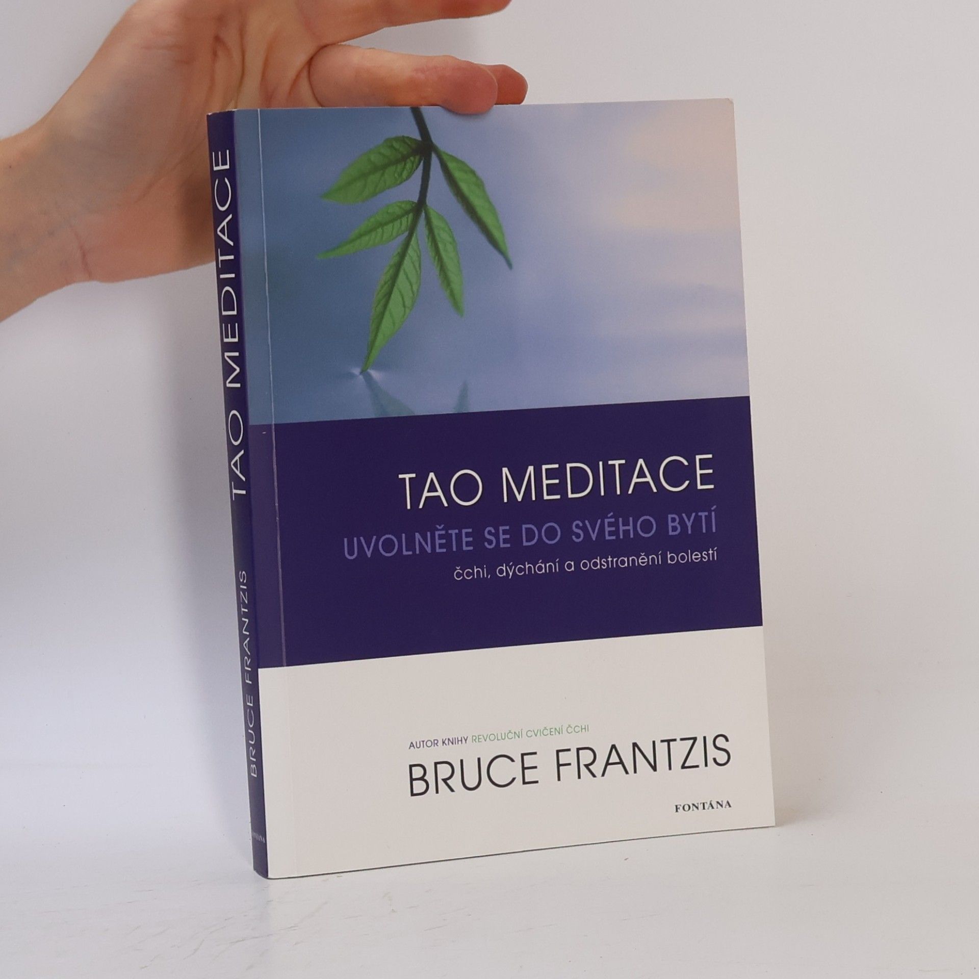 Bruce Kumar Frantzis Tao meditace. Uvolněte se do svého bytí: čchi, dýchání a odstranění bolesti