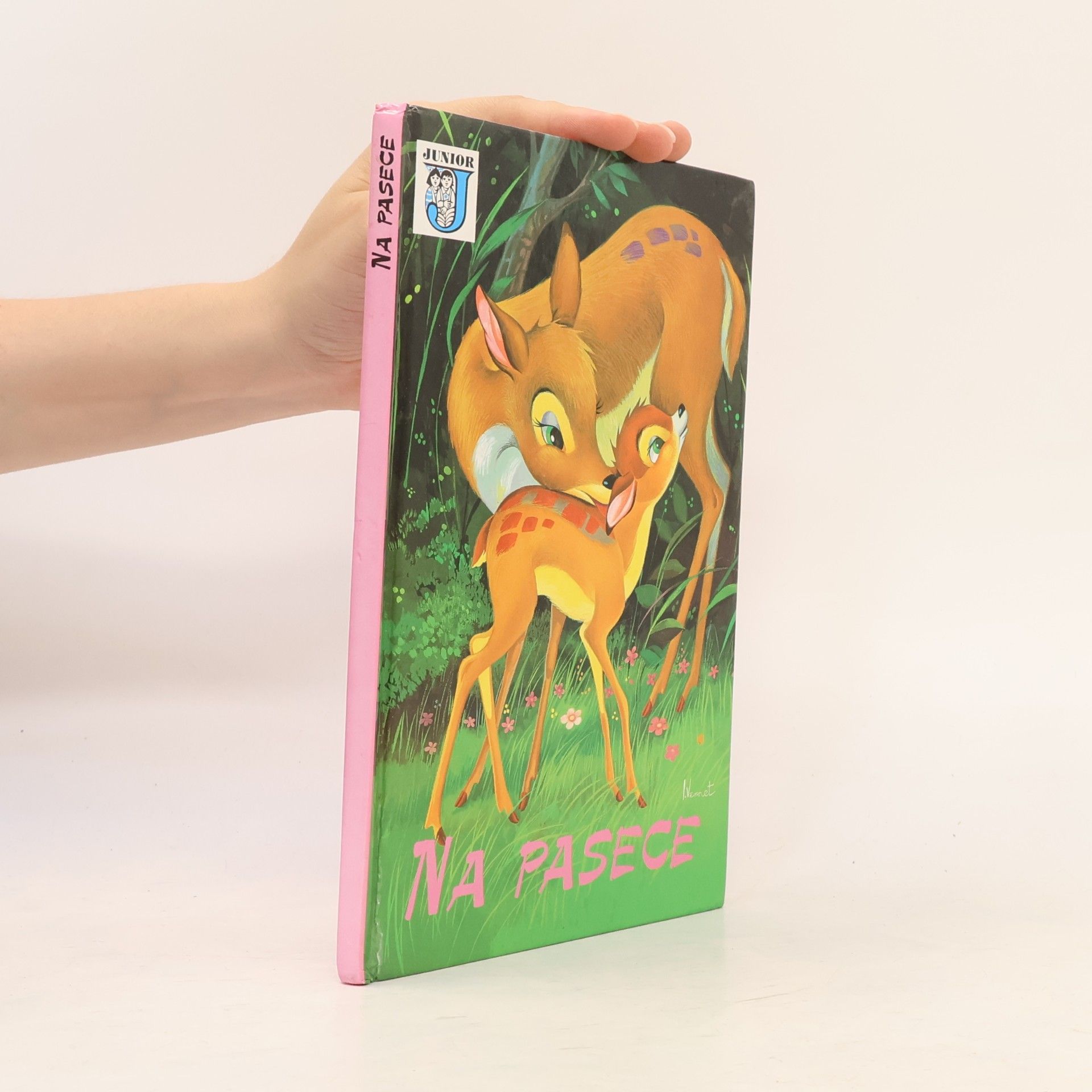 Collectif d'auteurs Na pasece
