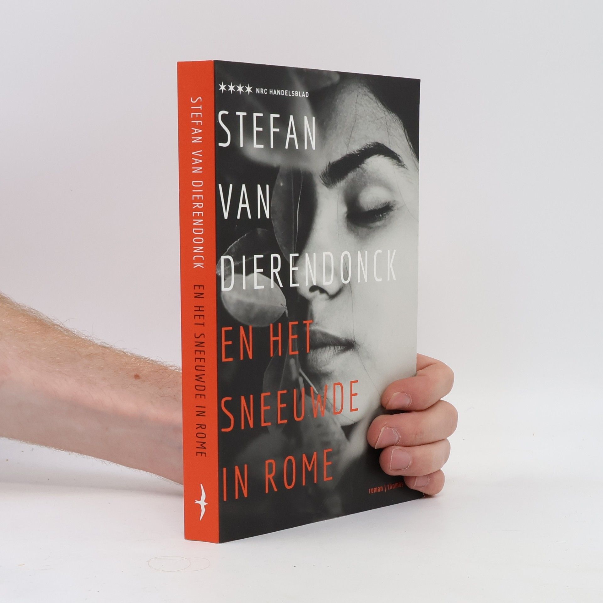 Stefan van Dierendonck En het sneeuwde in Rome