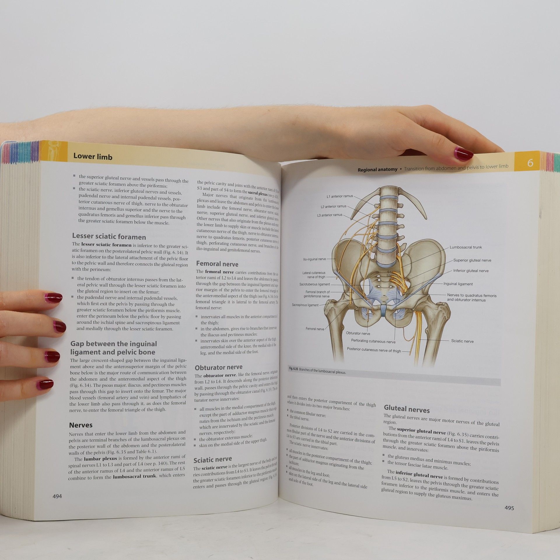 Adam W. M. Mitchell Gray's anatomy for students