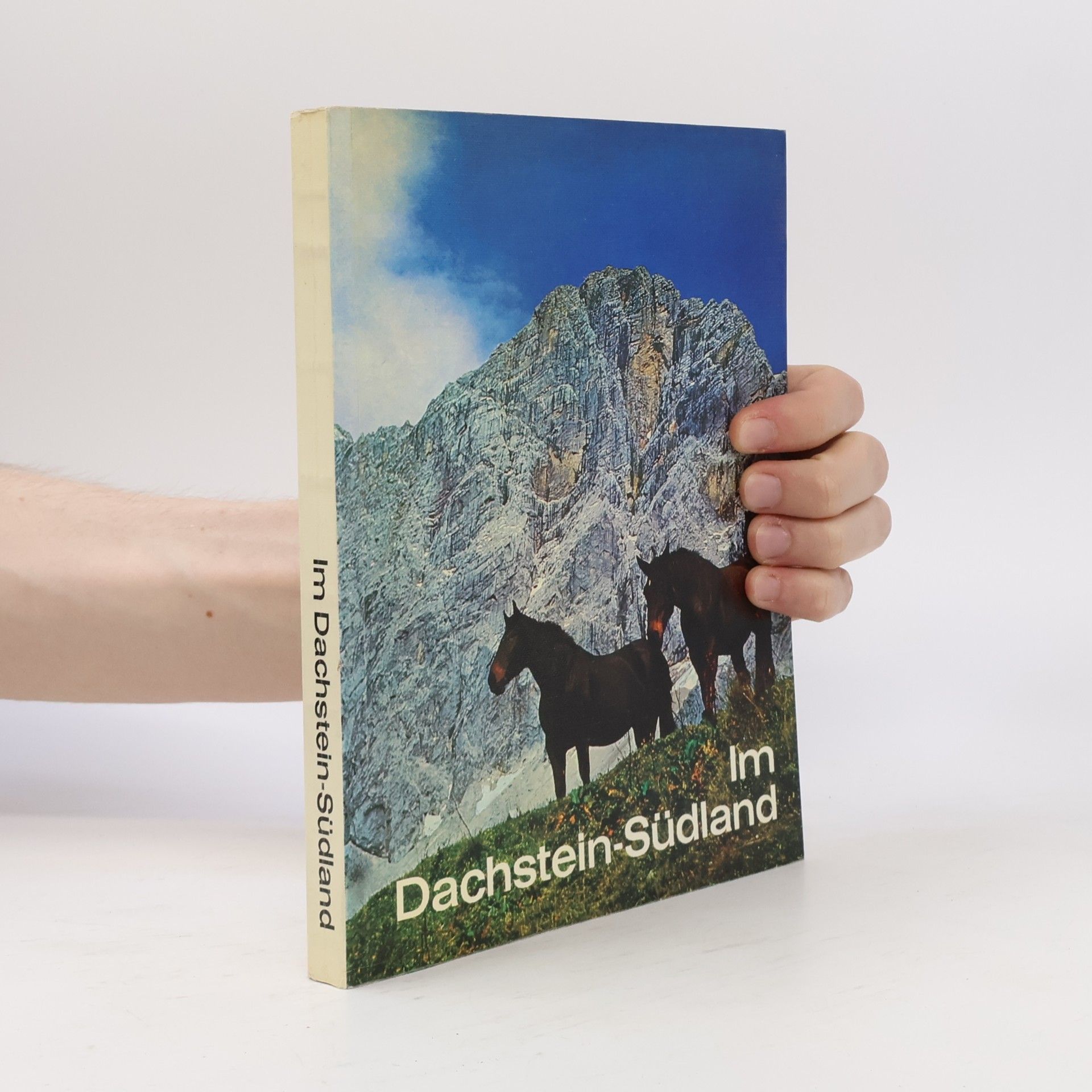 Erwin Putz Im Dachstein Südland