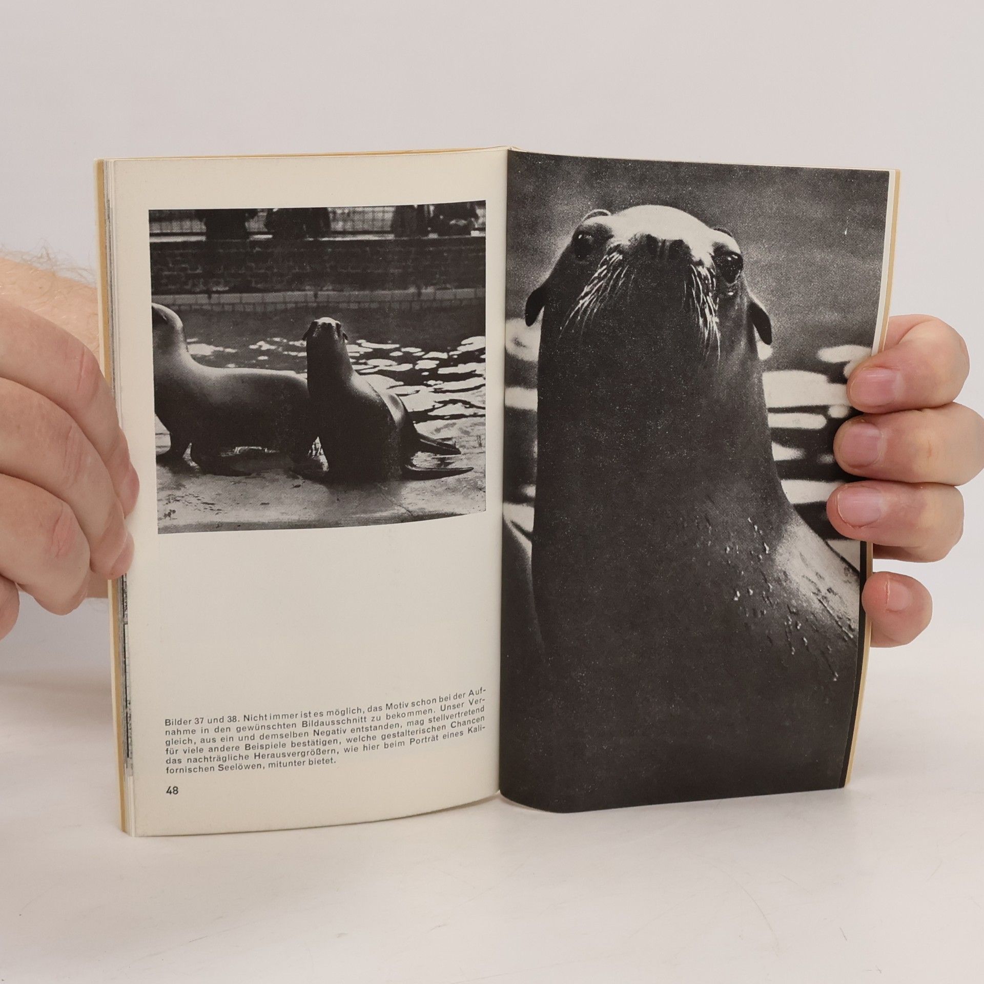 Roland Brinsch Tierfotos