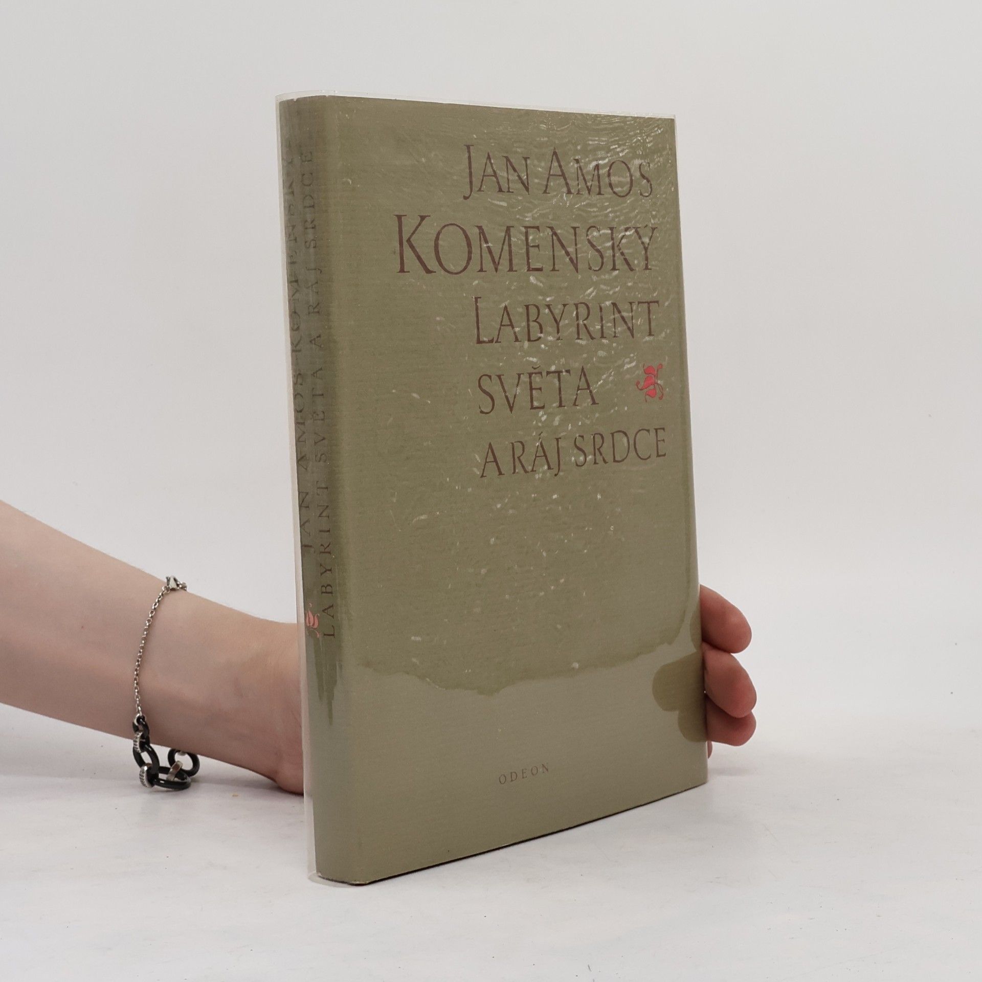 Jan Amos Komenský Labyrint světa a ráj srdce
