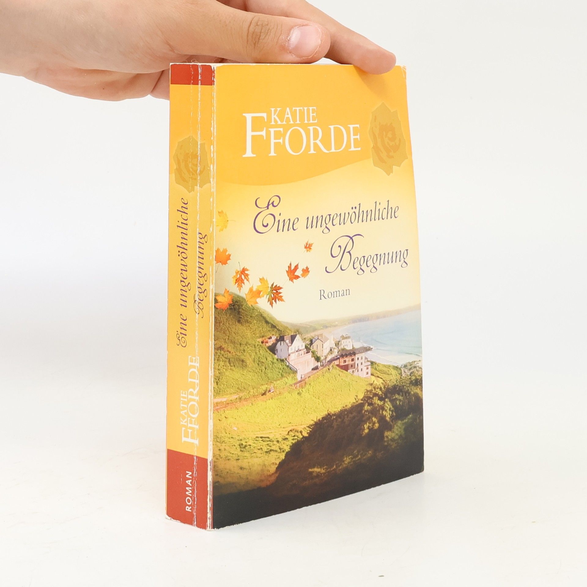 Katie Fforde Eine ungewöhnliche Begegnung