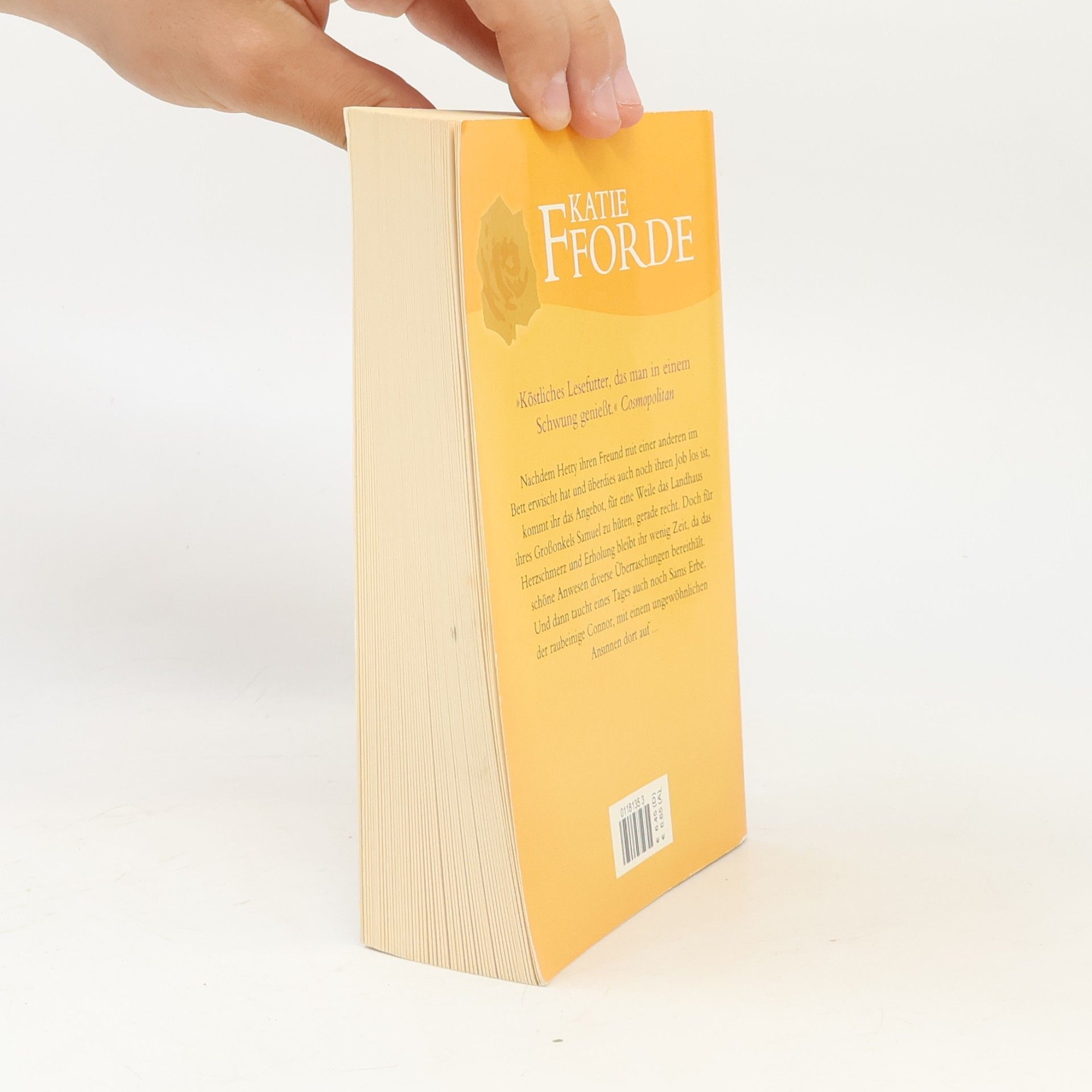Katie Fforde Eine ungewöhnliche Begegnung