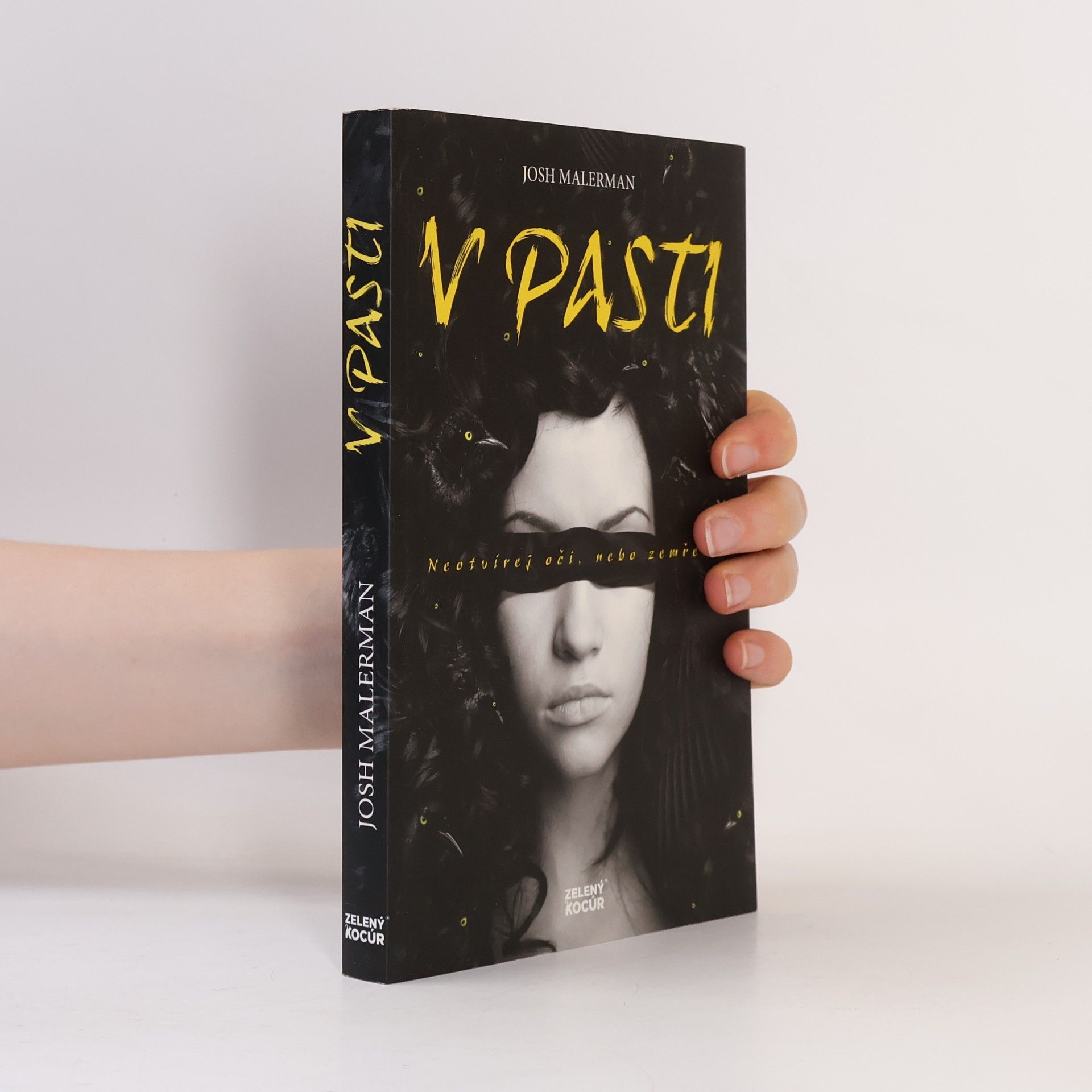 Josh Malerman V pasti