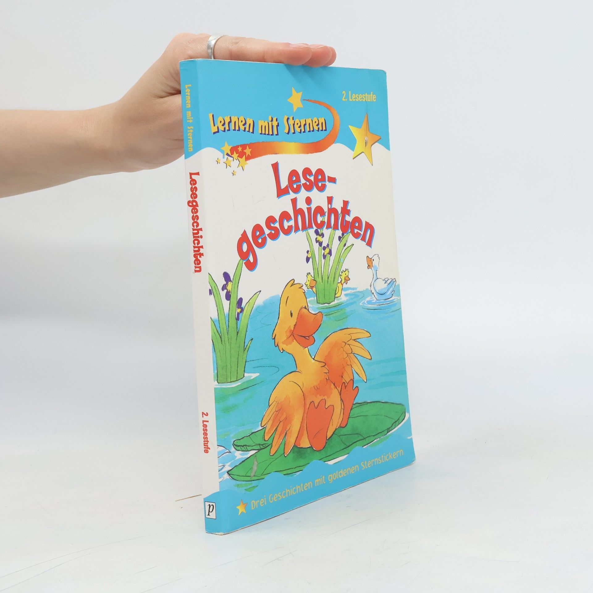 Autorenkollektiv Lesegeschichten