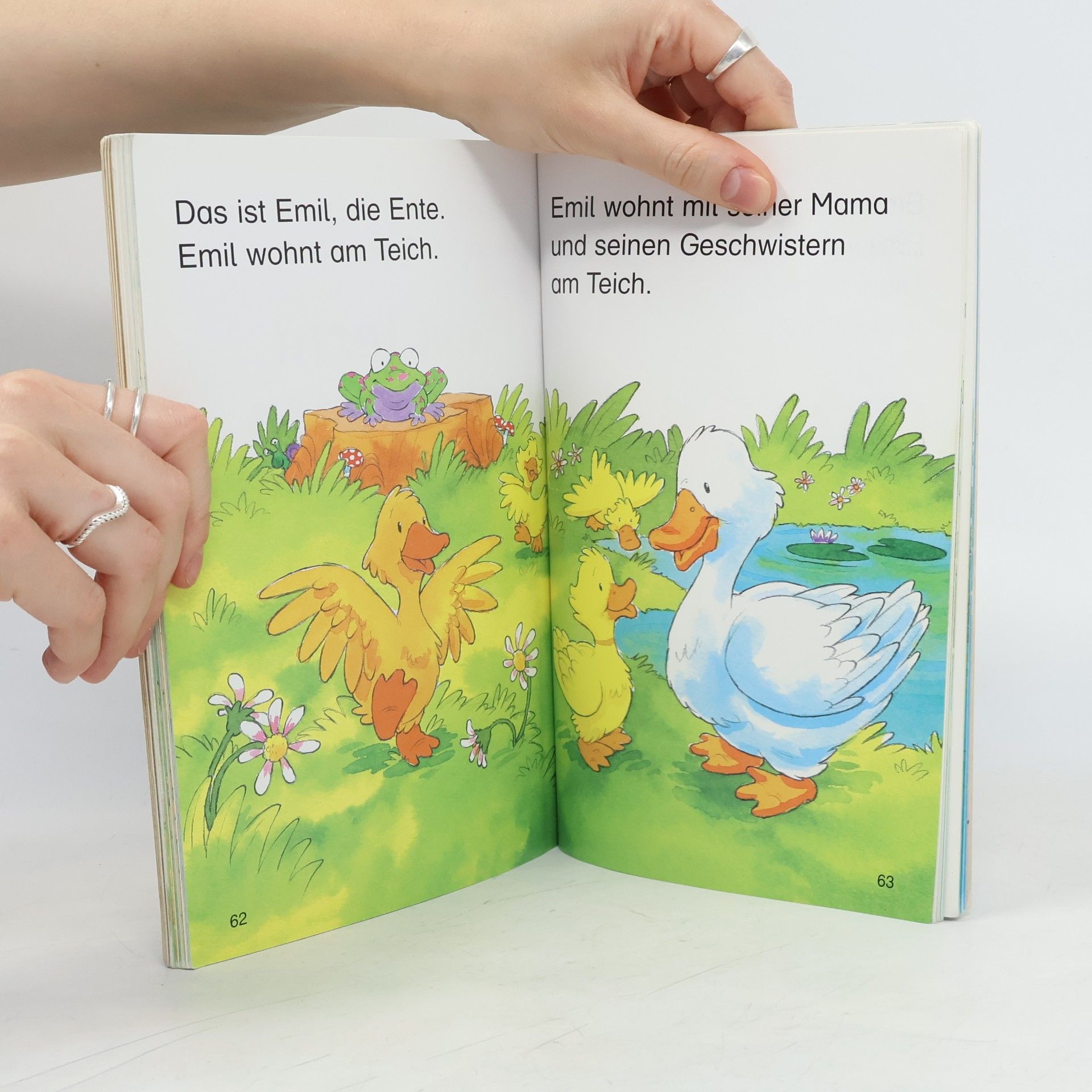 Autorenkollektiv Lesegeschichten
