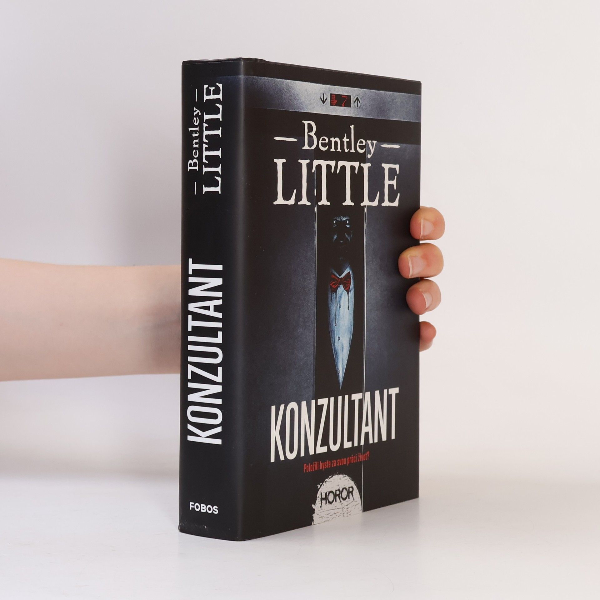 Bentley Little Konzultant
