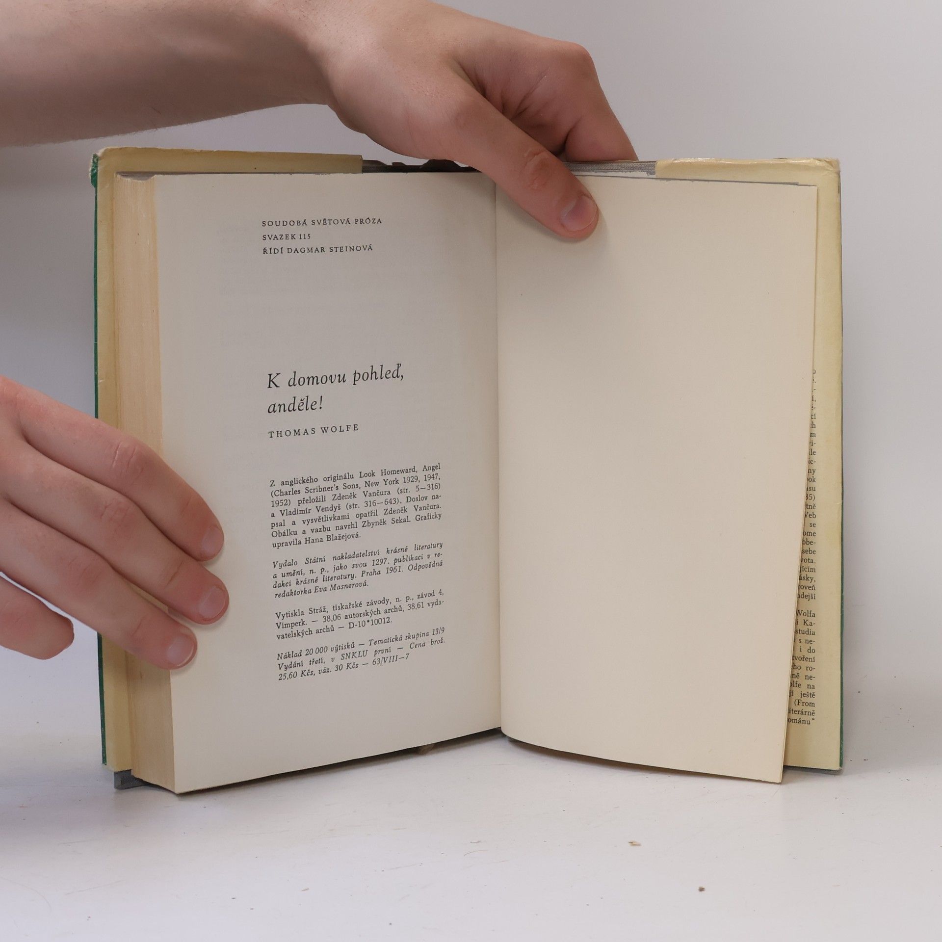 Thomas Clayton Wolfe K domovu pohleď, anděle