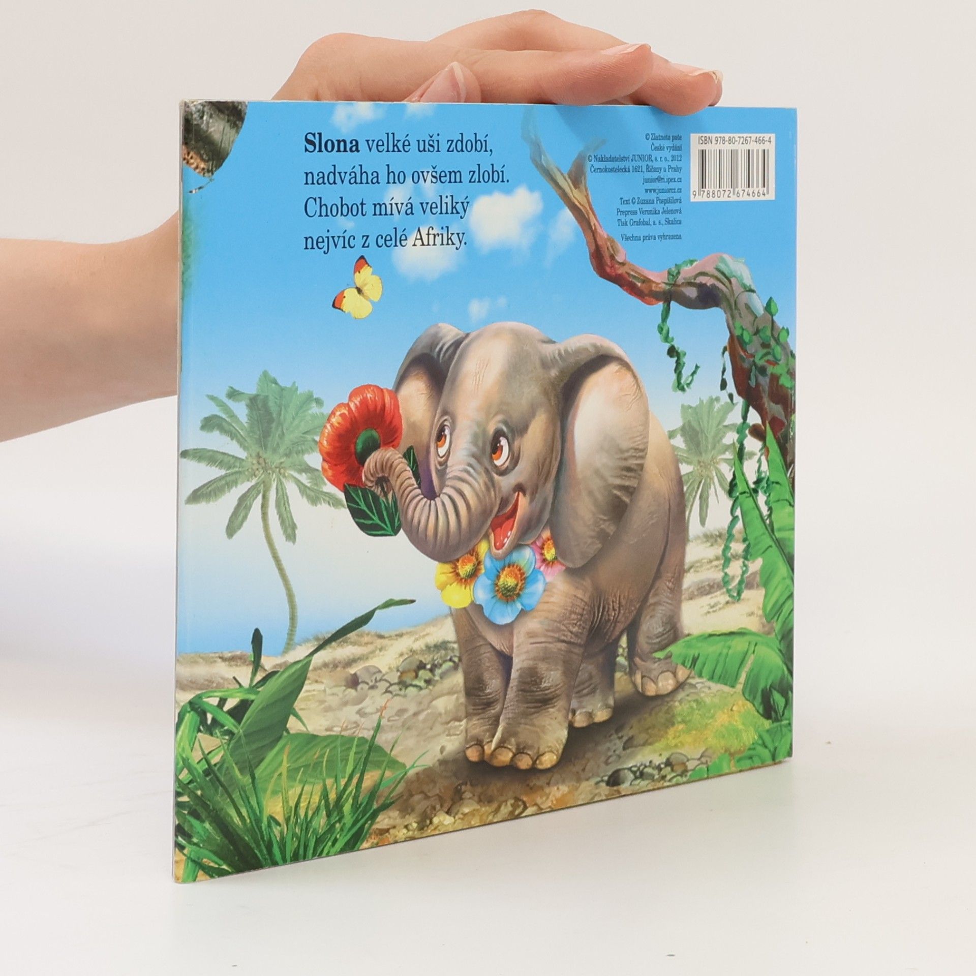 Autorenkollektiv Zvířátka v ZOO