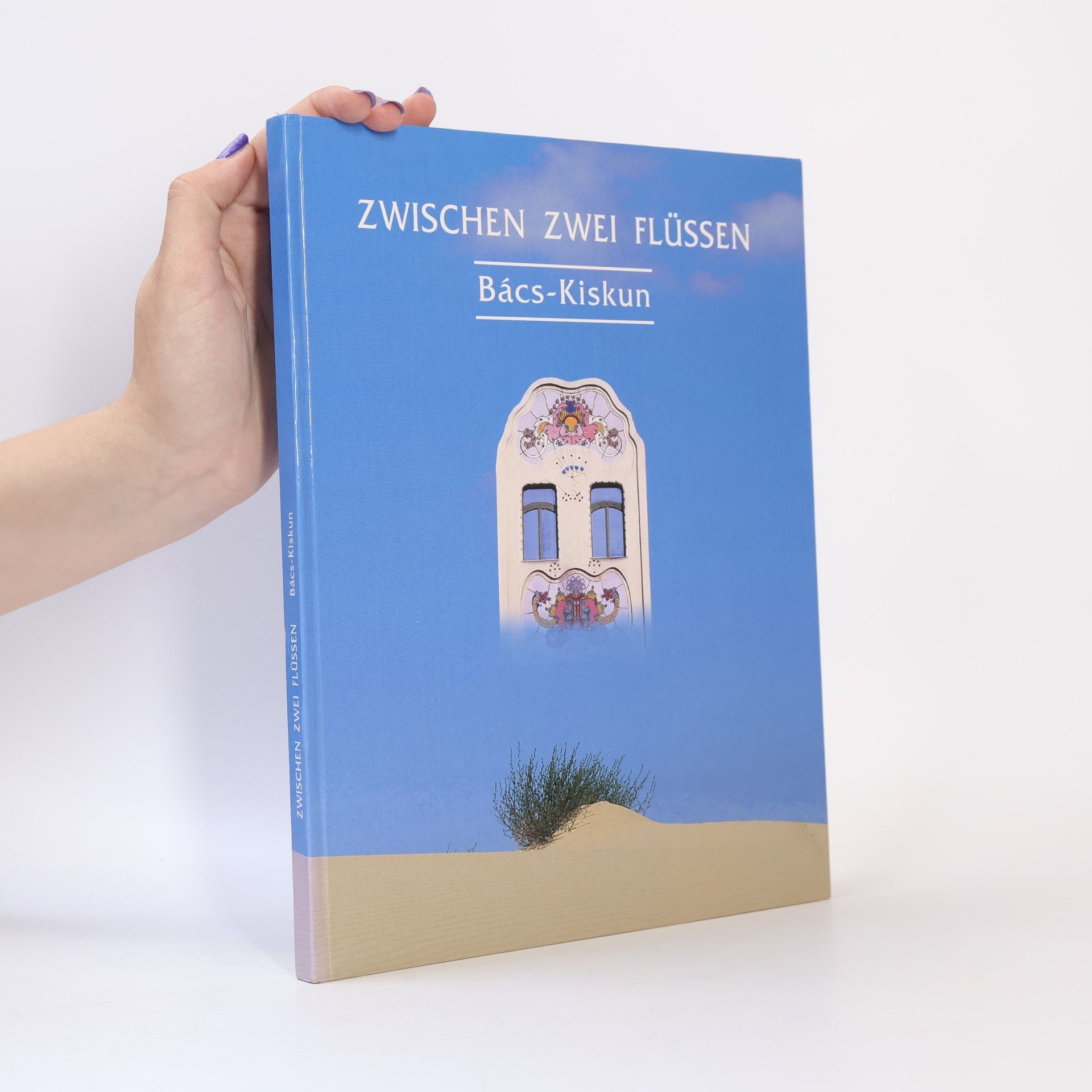 Bács Kiskun Zwischen zwei Flüssen