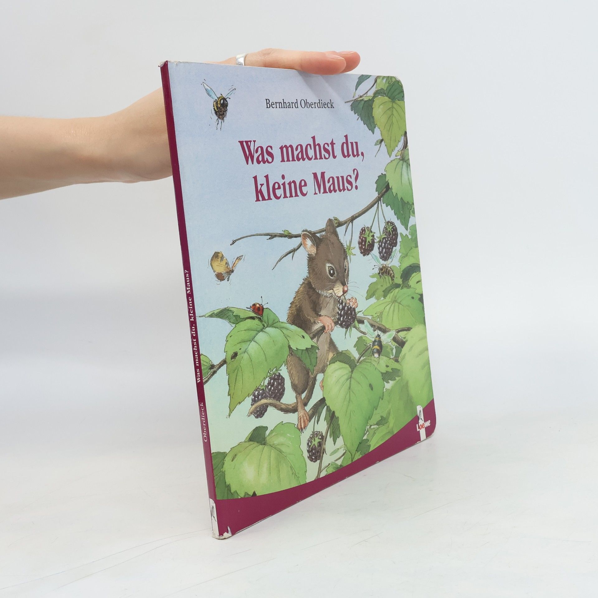 Was machst du, kleine Maus? Ab 2 J.