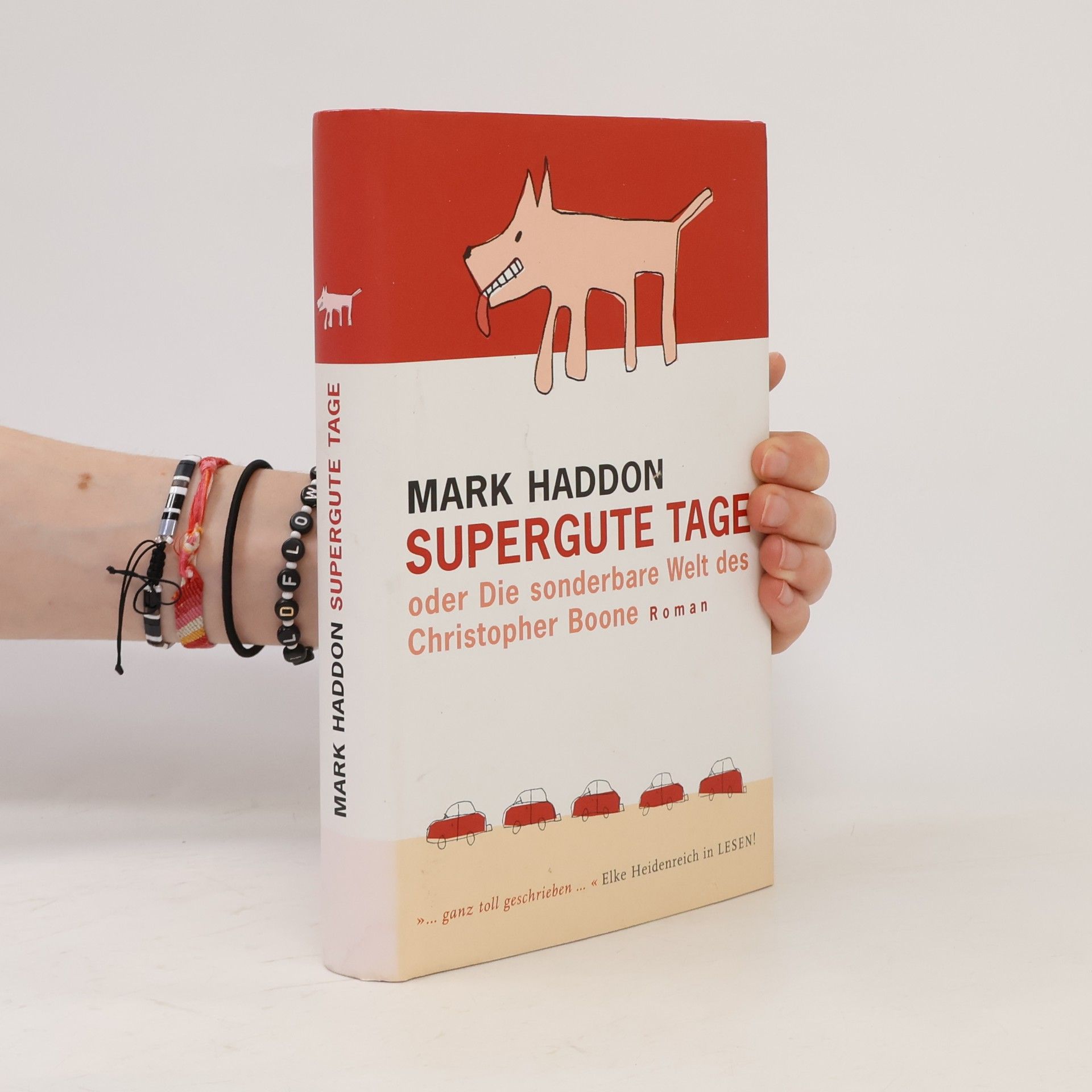 Mark Haddon Supergute Tage oder Die sondere Welt des Christopher Boone