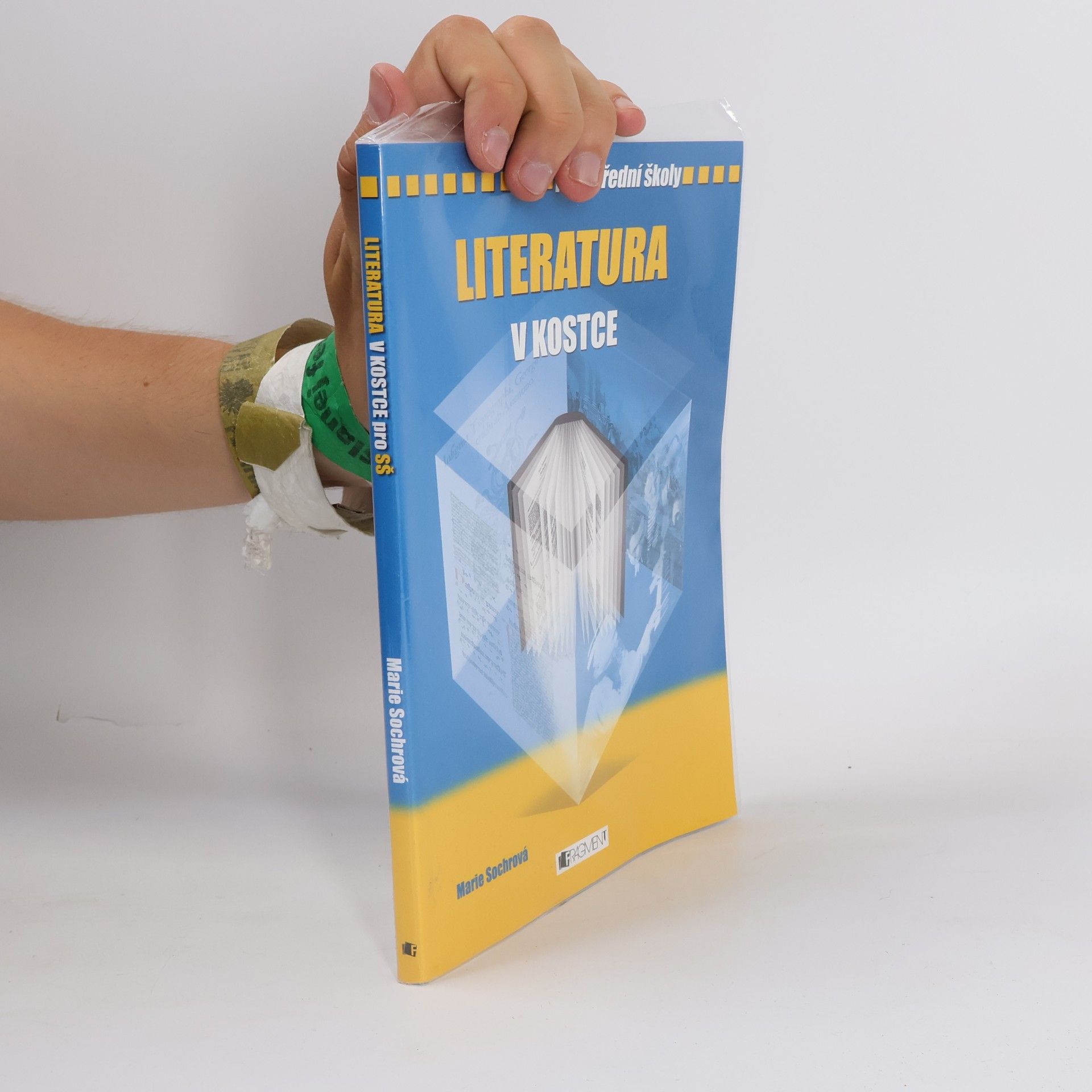 Marie Sochrová Literatura v kostce : pro střední školy