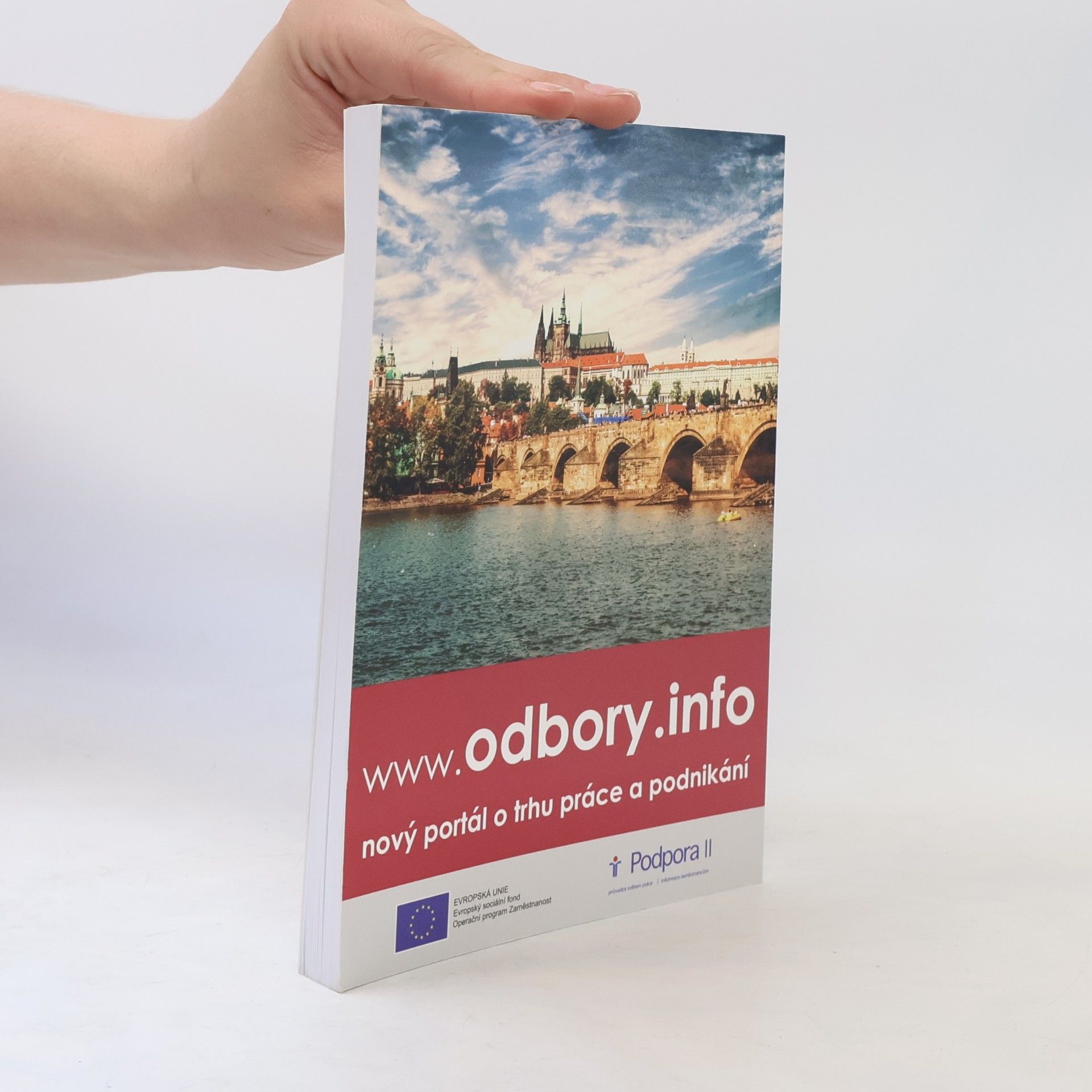 Autorenkollektiv Sborník studií na téma: Dopady digitalizace práce na zaměstnanost, kolektivní vyjednávání a sociální zabezpečení zaměstnanců II.