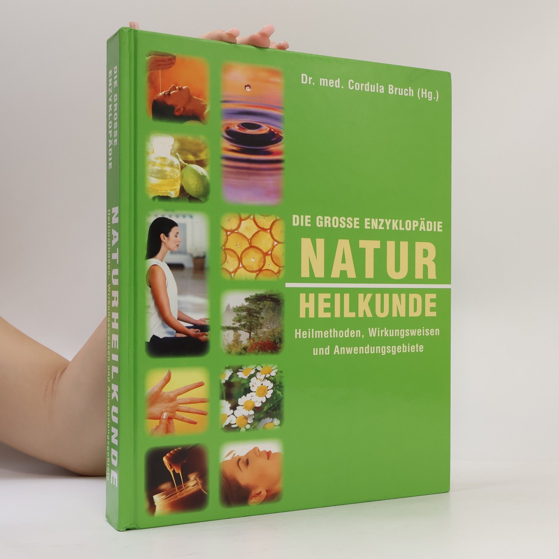 Various authors Die große Enzyklopädie Naturheilkunde: Heilmethoden, Wirkungsweisen und Anwendungsgebiete