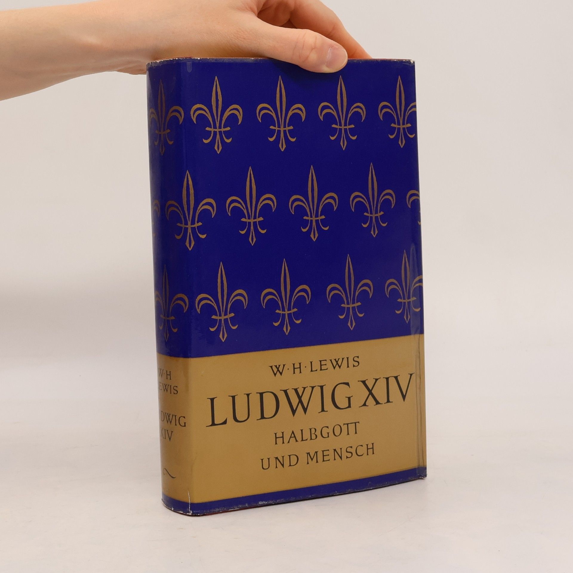 H. W. Lewis Ludwig XIV. Halbgott und Mensch