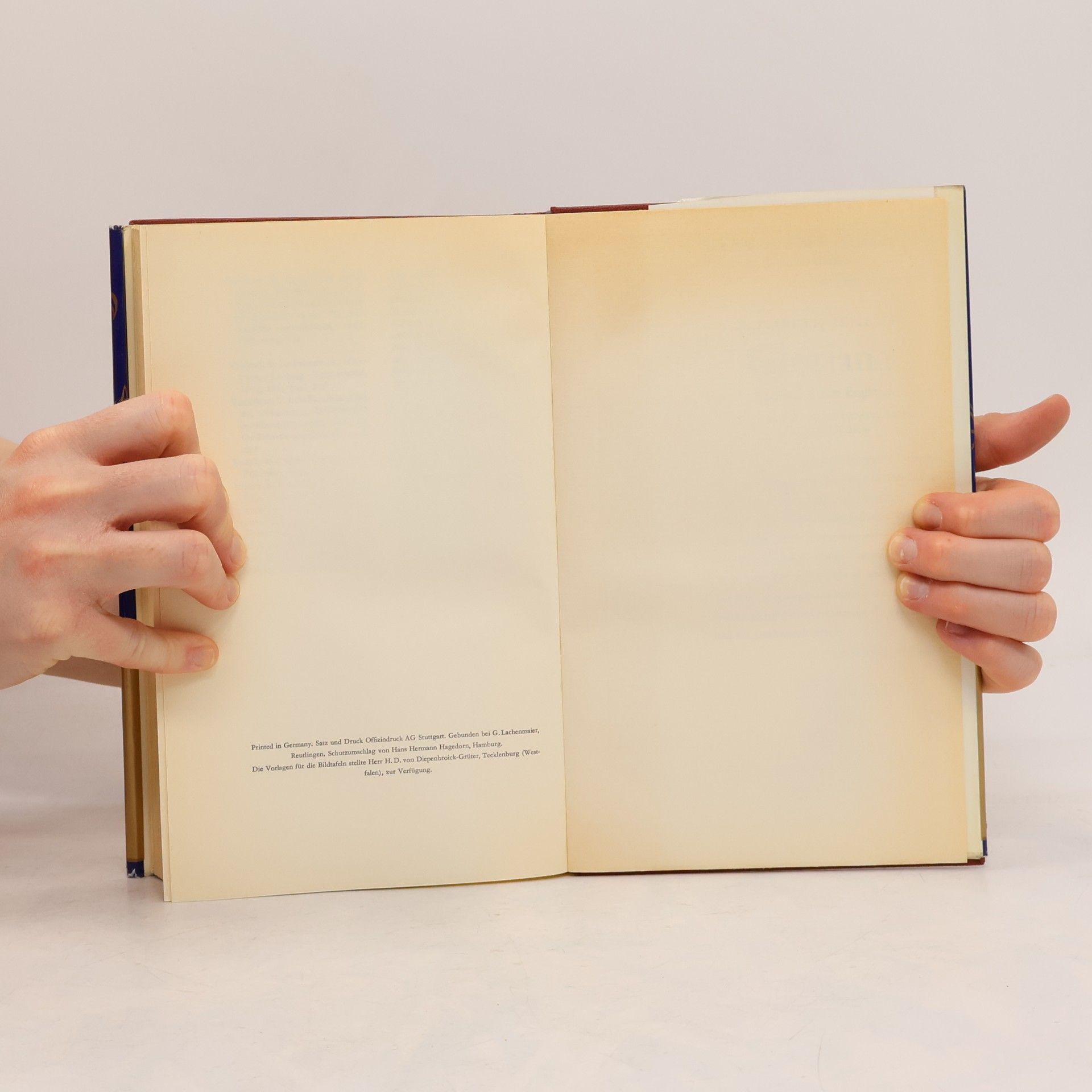 H. W. Lewis Ludwig XIV. Halbgott und Mensch