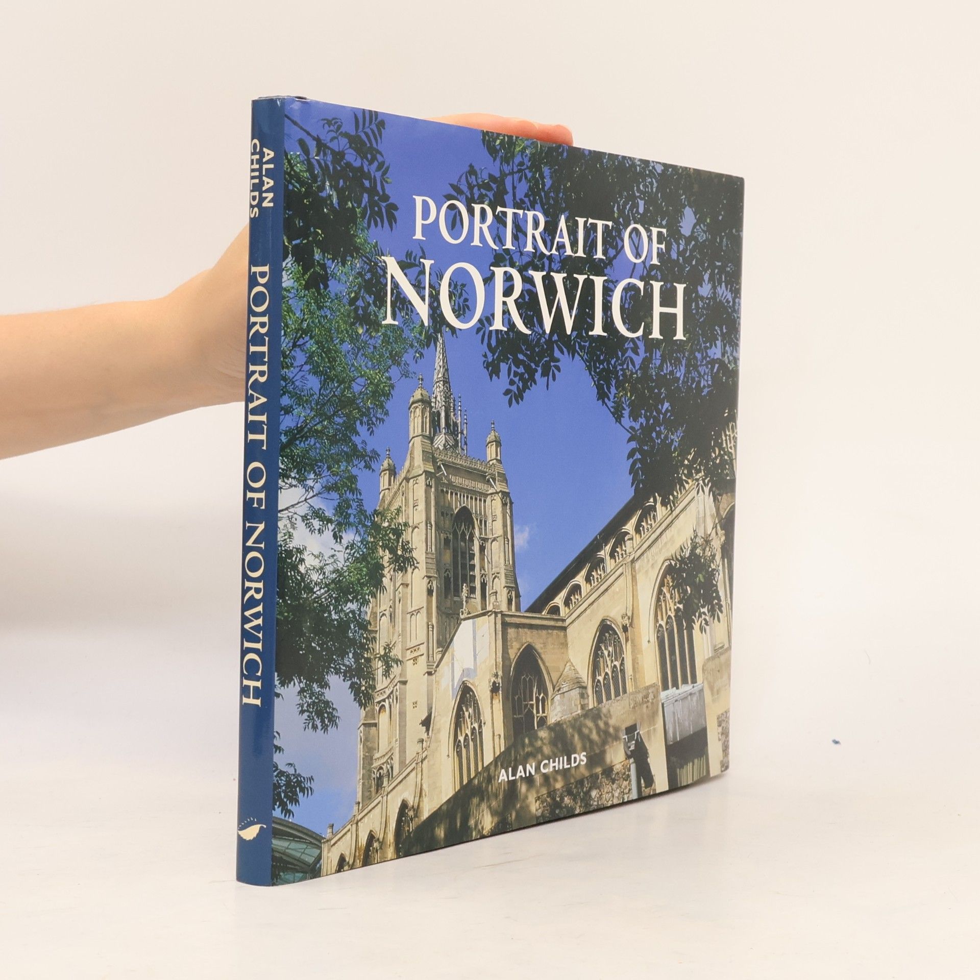 Alan Childs Portrait of Norwich