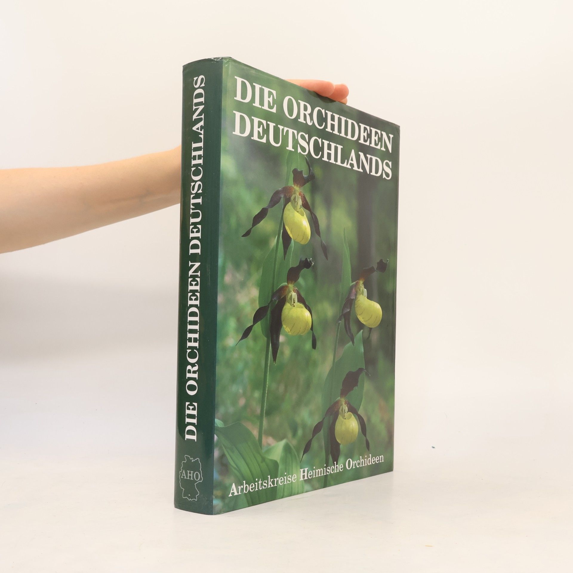 Arbeitskreise Heimische Orchideen Die Orchideen Deutschlands