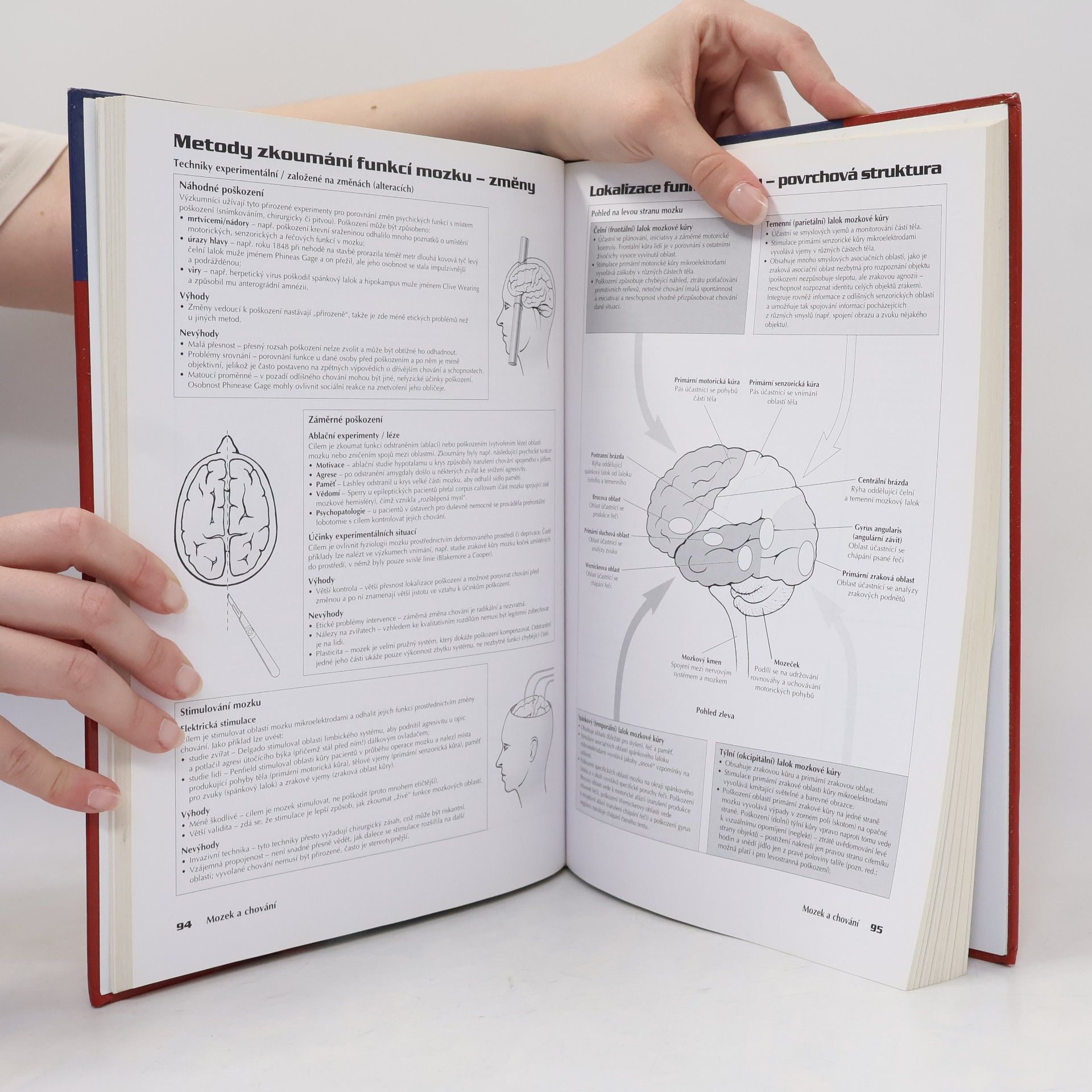 Grahame Hill Moderní psychologie. Hlavní oblasti současného studia lidské psychiky