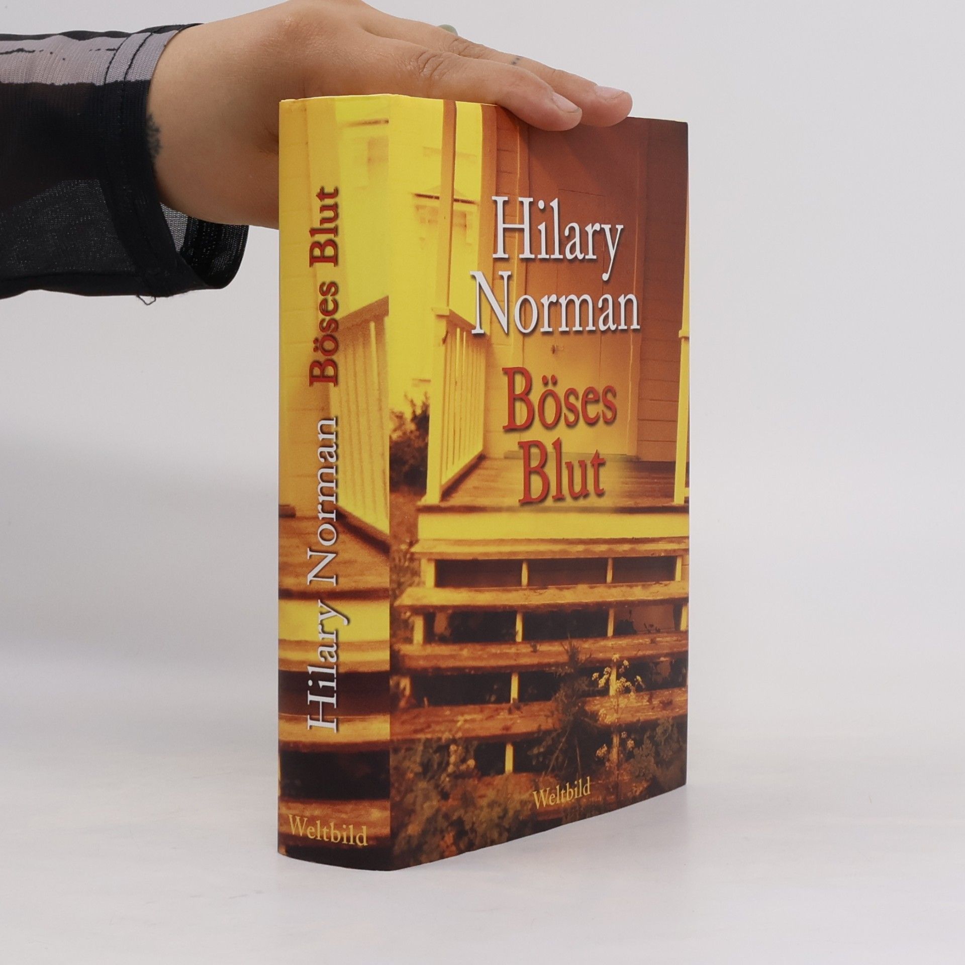 Hilary Norman Böses Blut