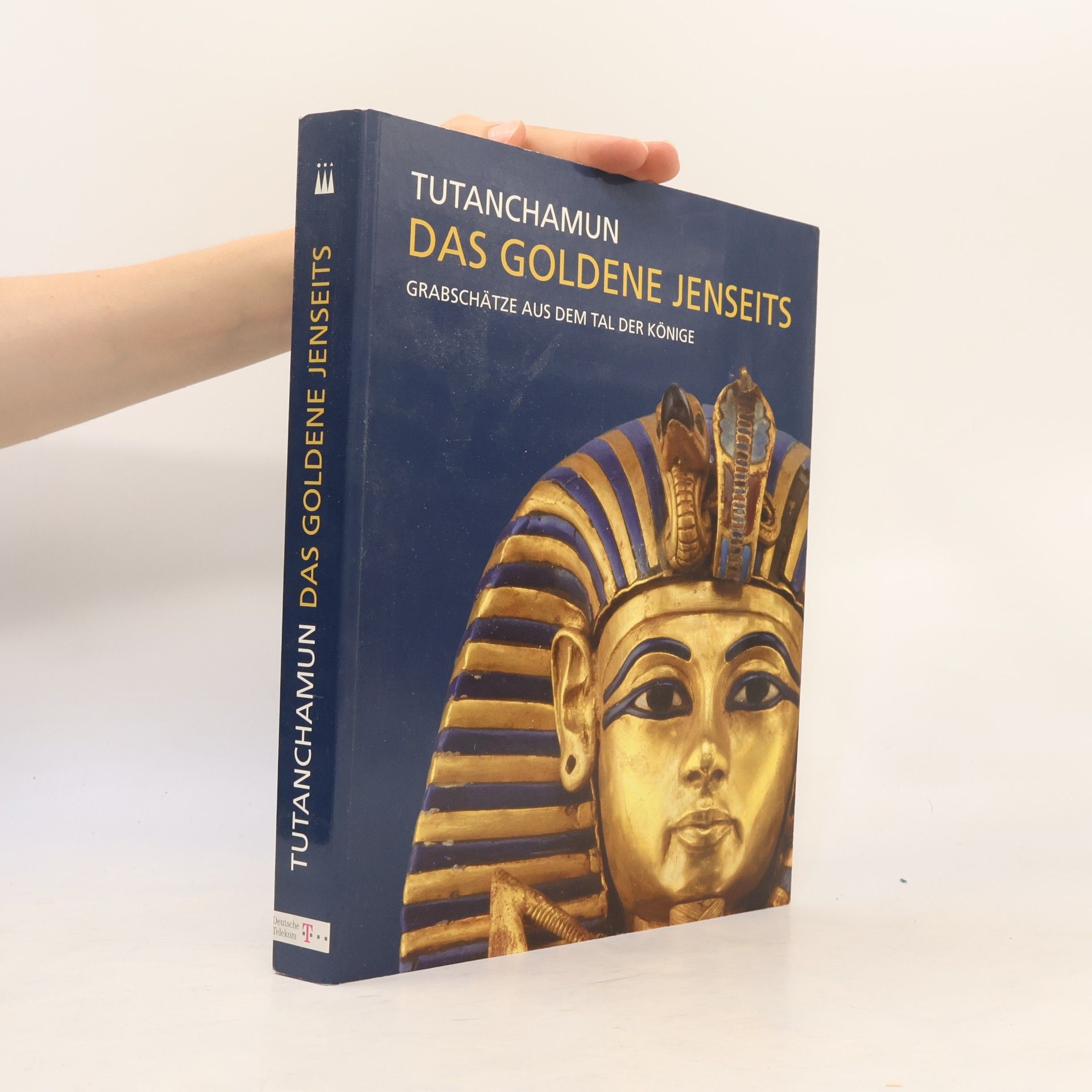 Andre B. Wiese Tutanchamun - das goldene Jenseits