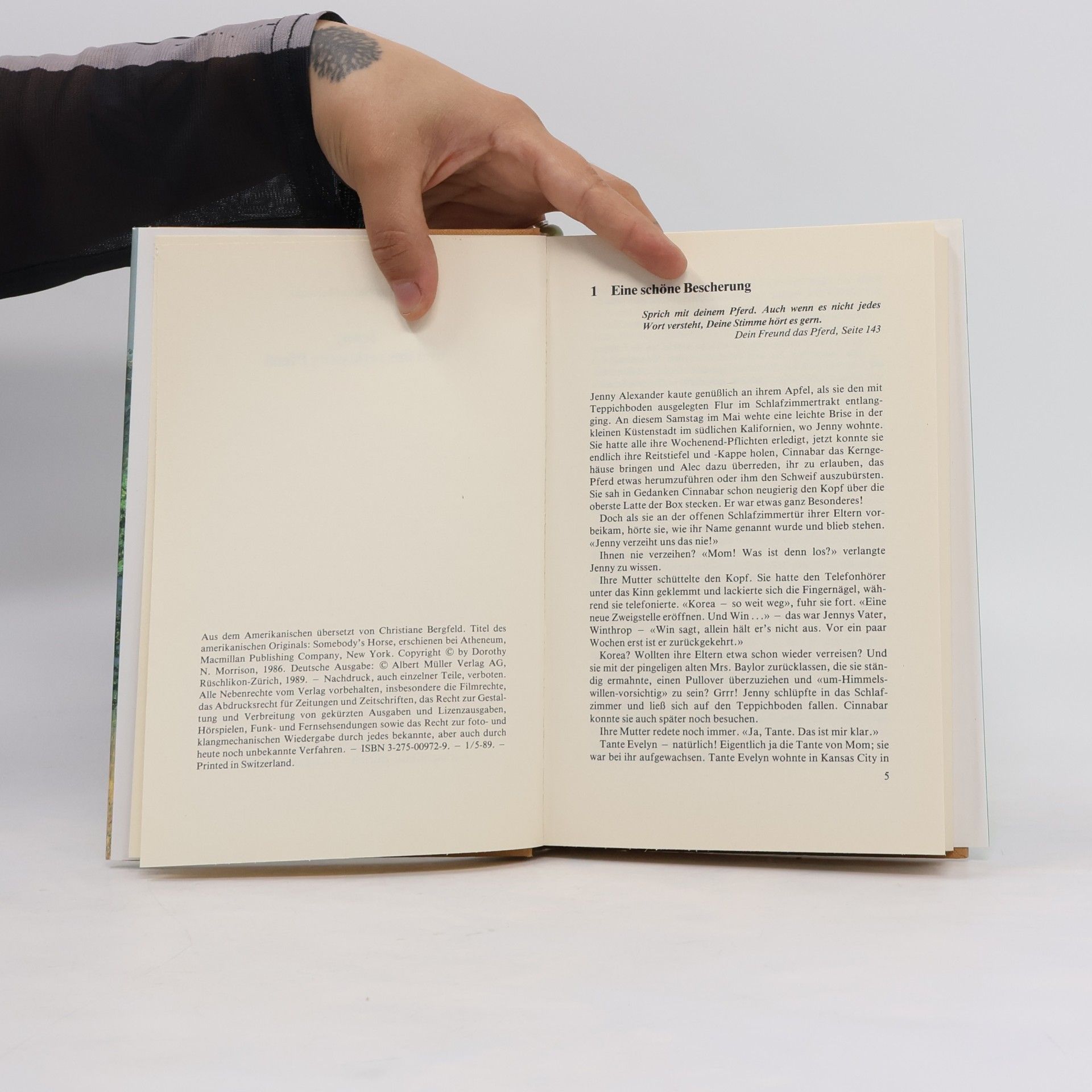 Dorothy Nafus Morrison Jenny und das verlassene Pferd