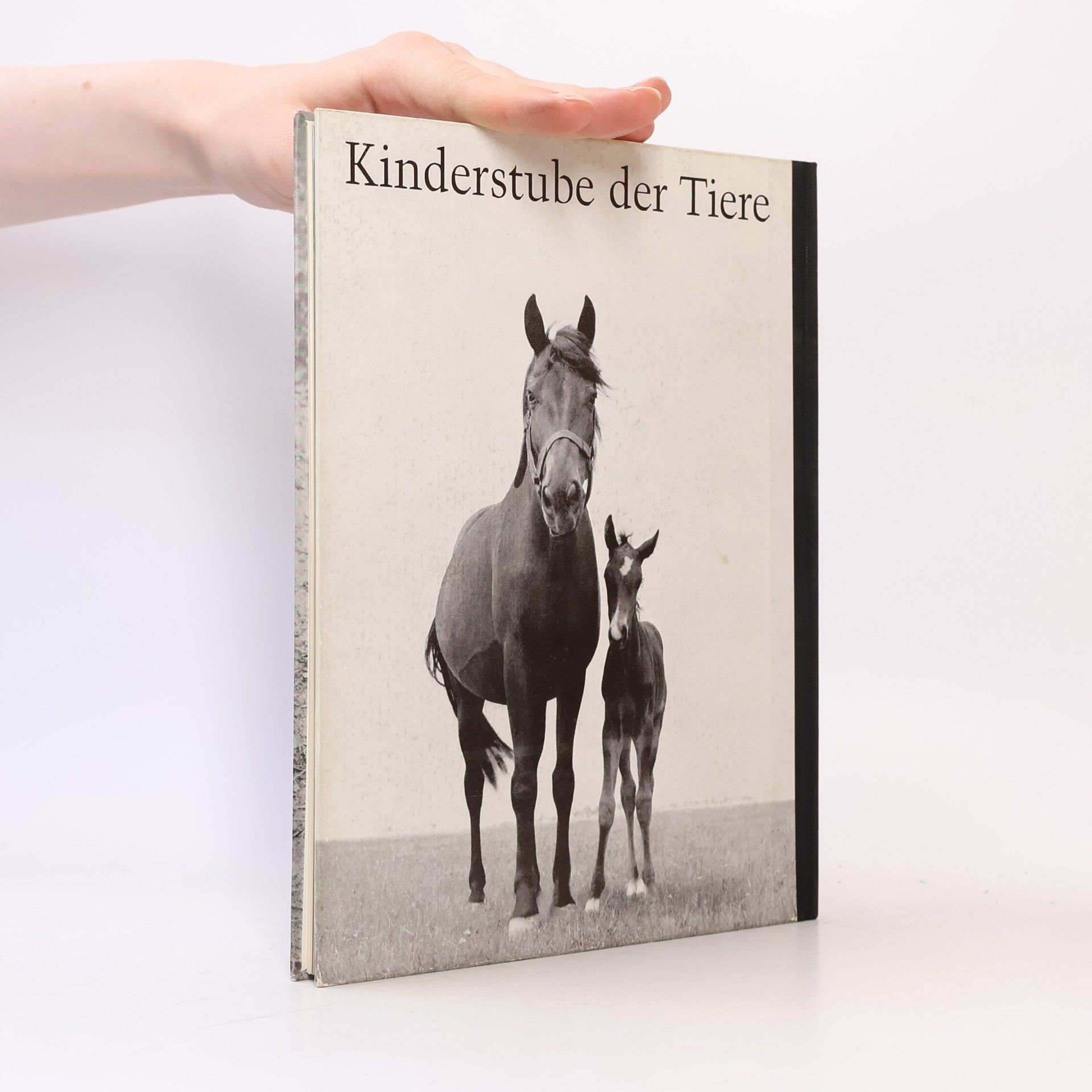 Eugen Skasa-Weiss Kinderstube der Tiere