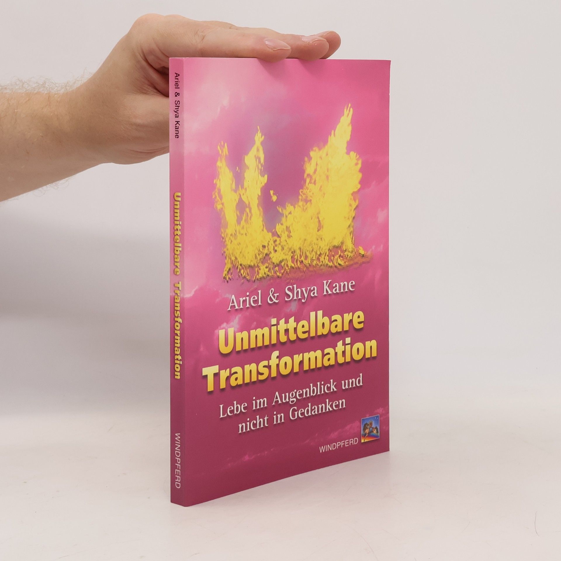 Ariel Kane Unmittelbare Transformation