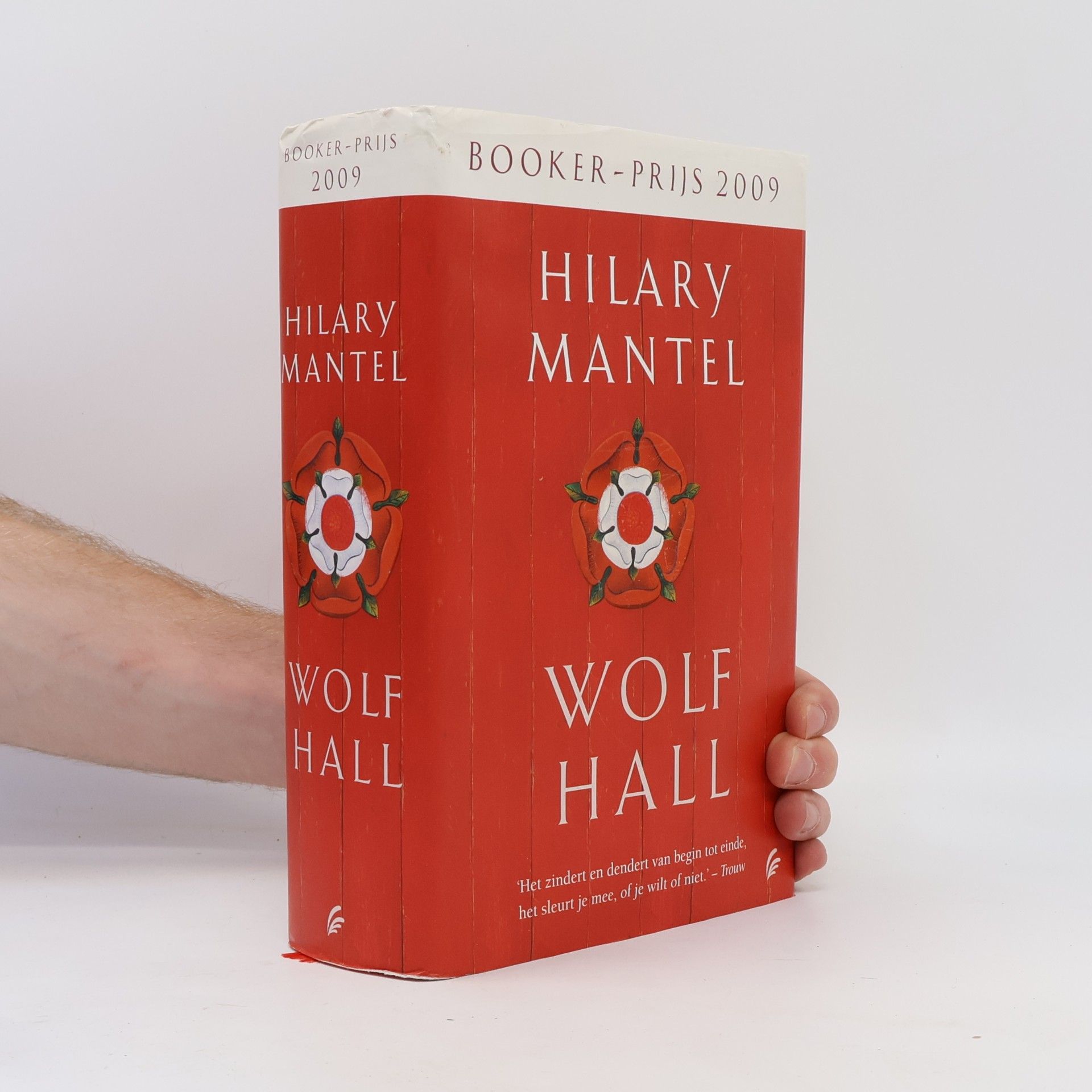 Hilary Mantel Tudor Trilogie - 1: Wolf Hall
