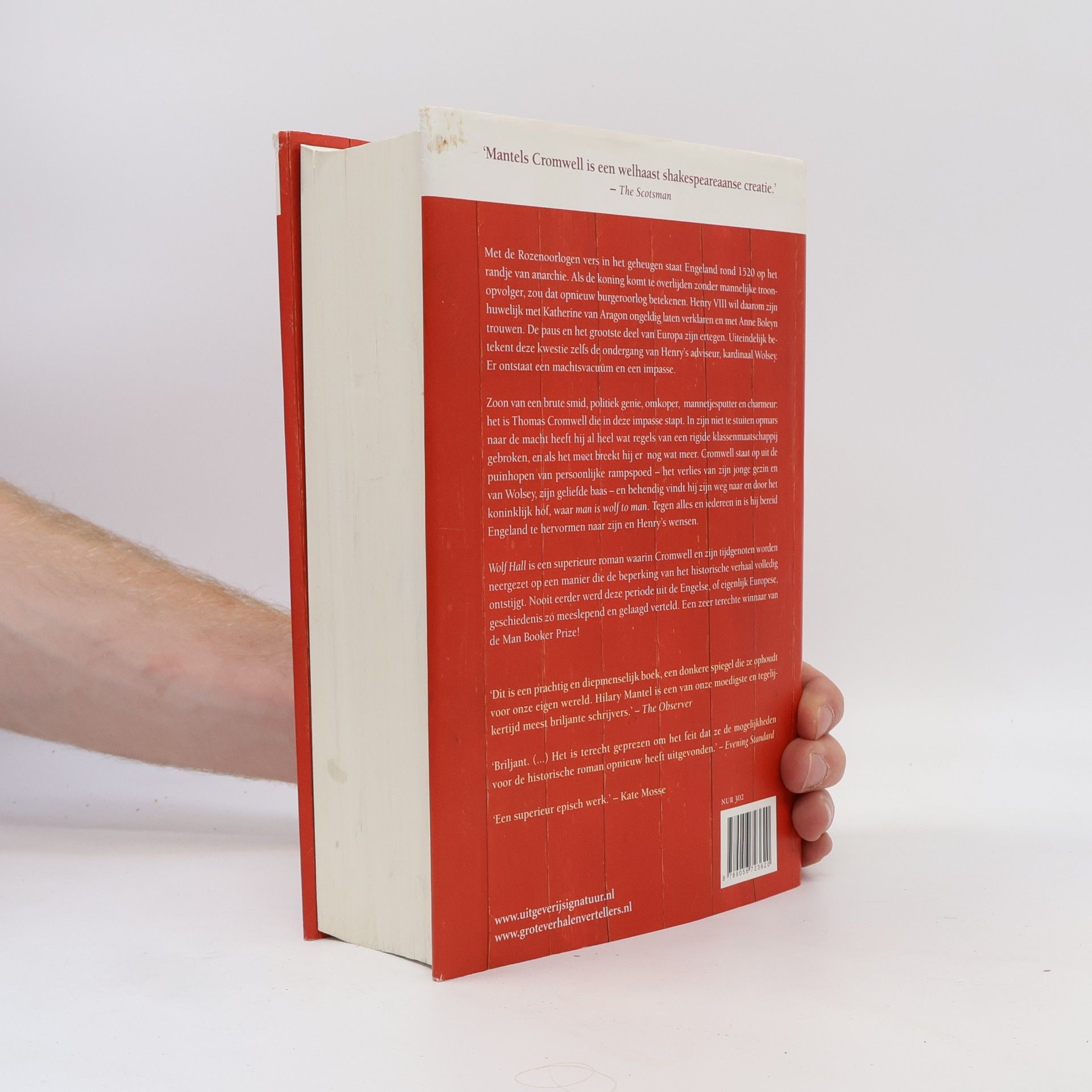 Ineke Willems Tudor Trilogie - 1: Wolf Hall