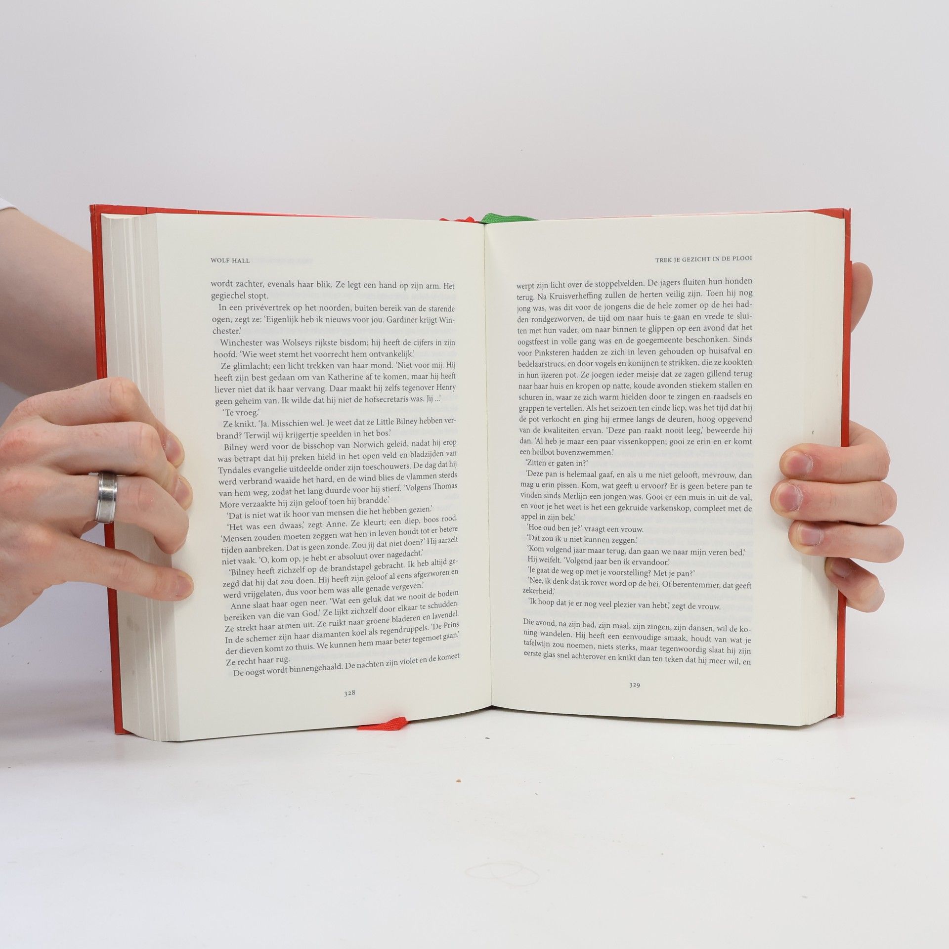 Ineke Willems Tudor Trilogie - 1: Wolf Hall