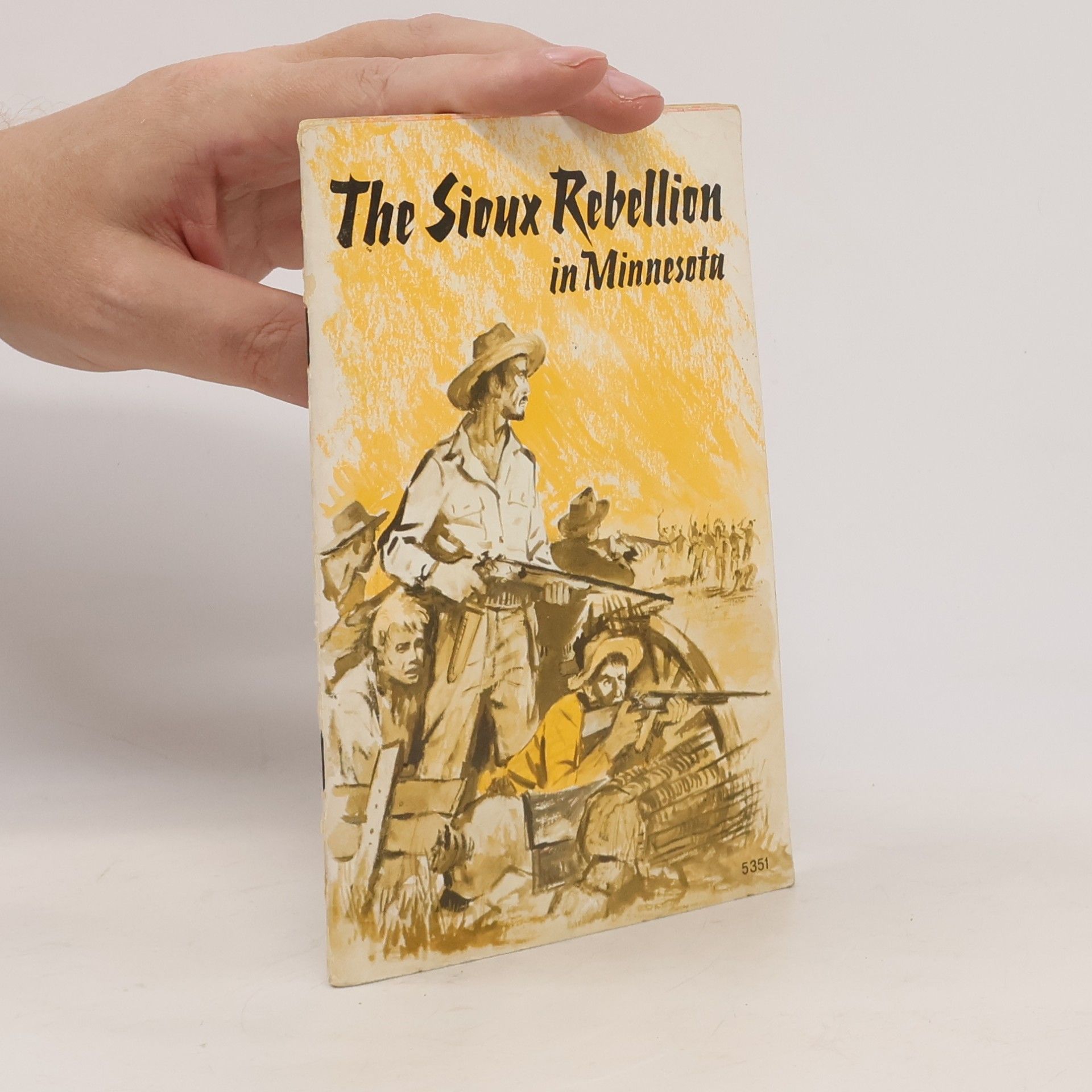 The Sioux Rebellion in Minnesota. An Emigrant Boy's Story