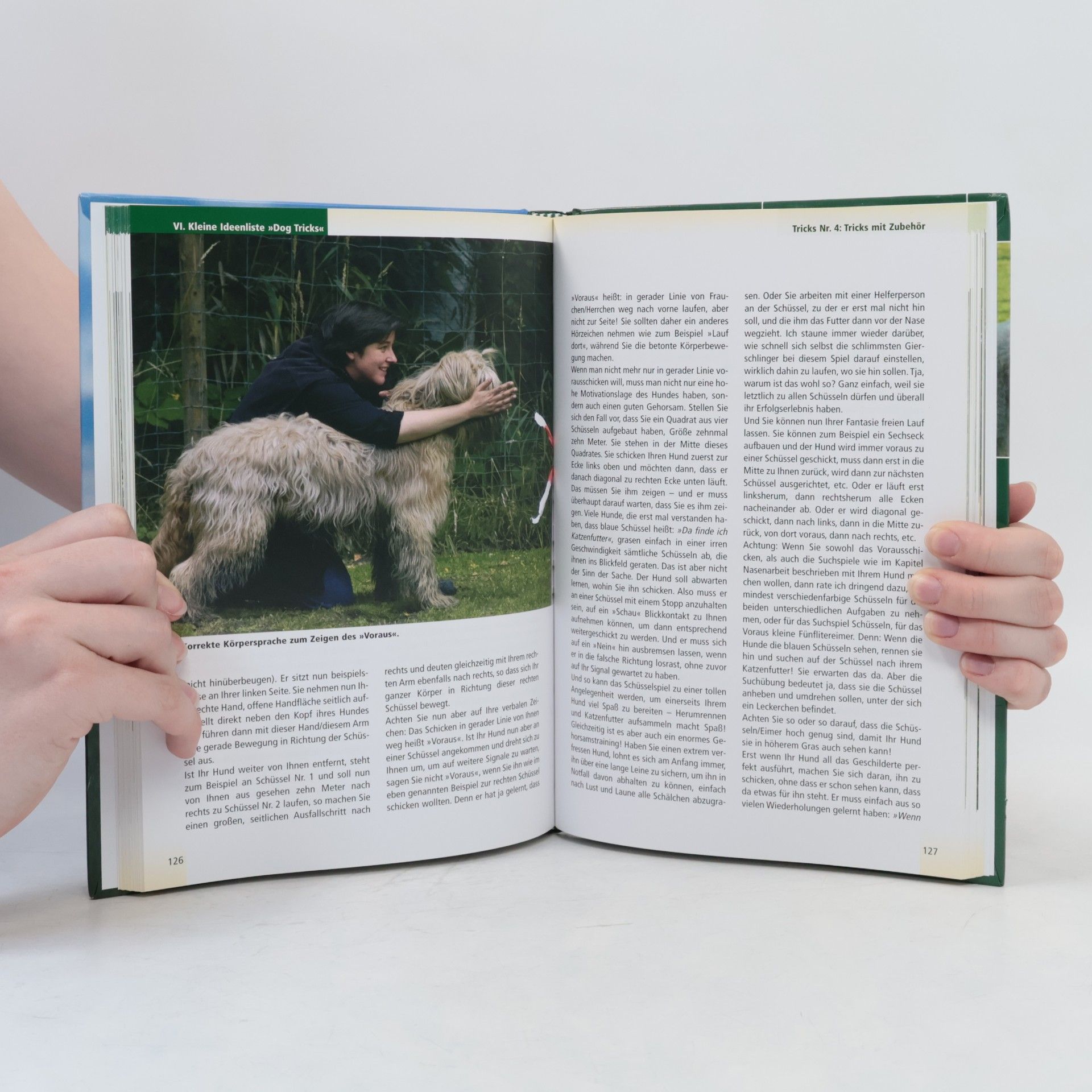 Gabriele Niepel So wird mein Hund zum Freund