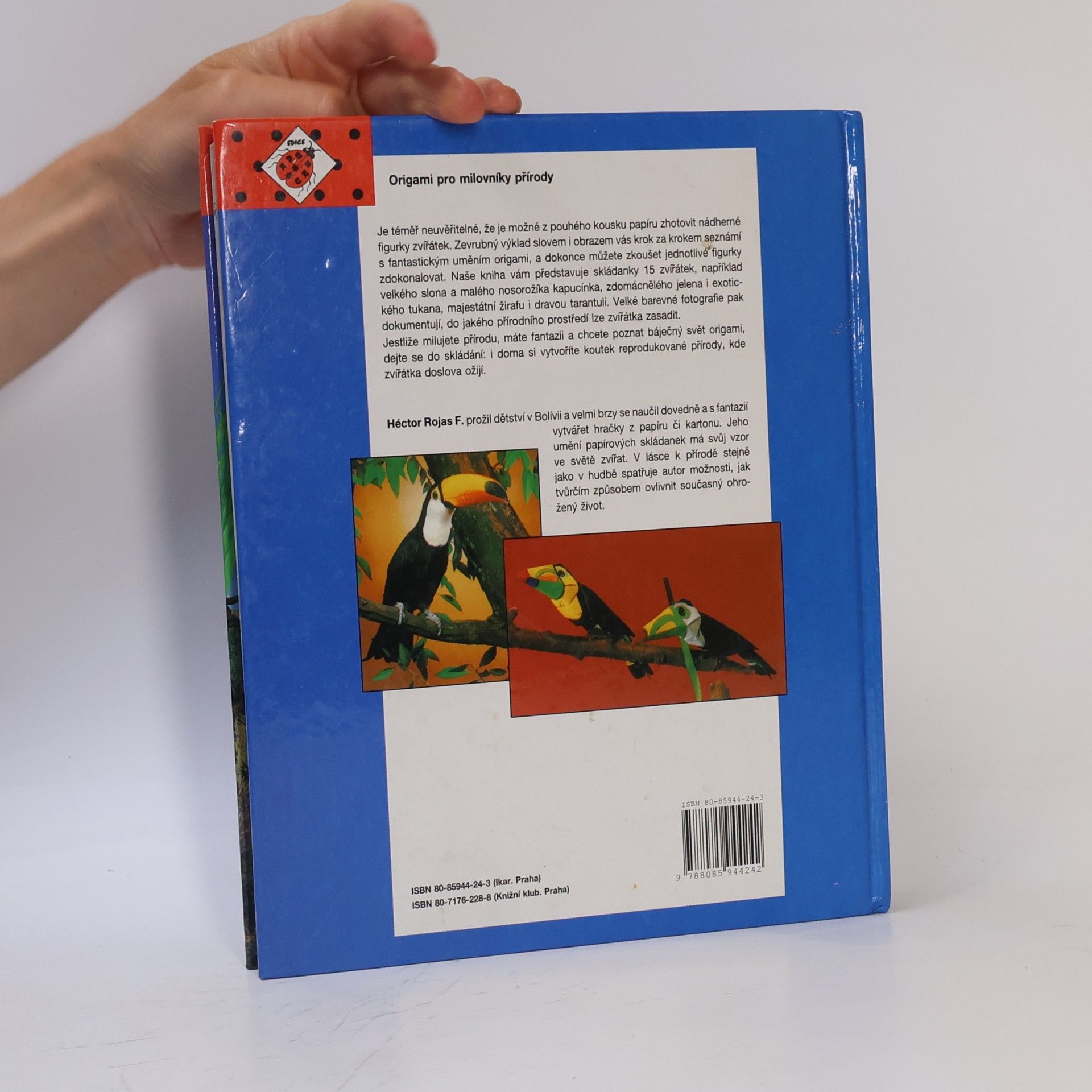 Héctor Rojas F Fascinující svět origami zvířátek