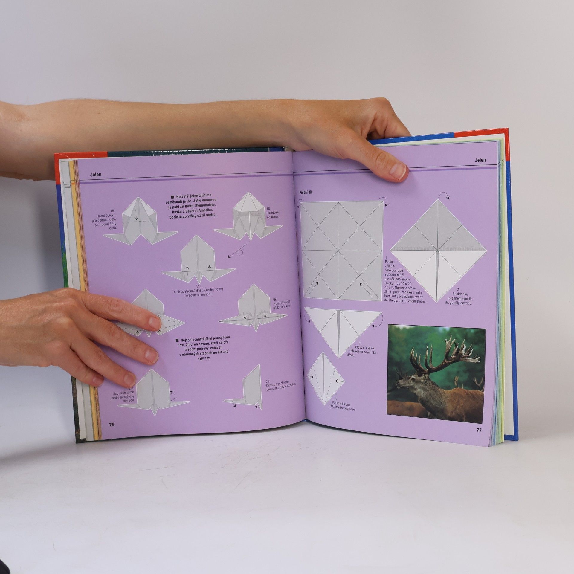 Héctor Rojas F Fascinující svět origami zvířátek