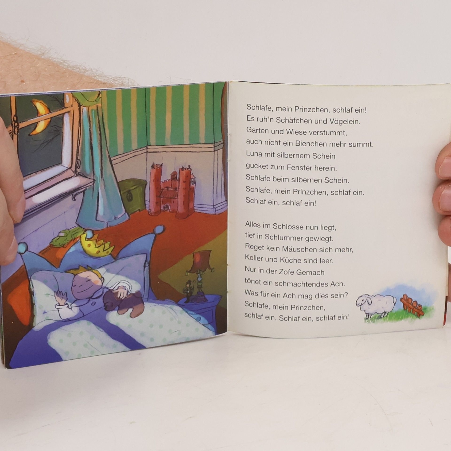 Florence Dailleux Bambini Lieder zum Träumen