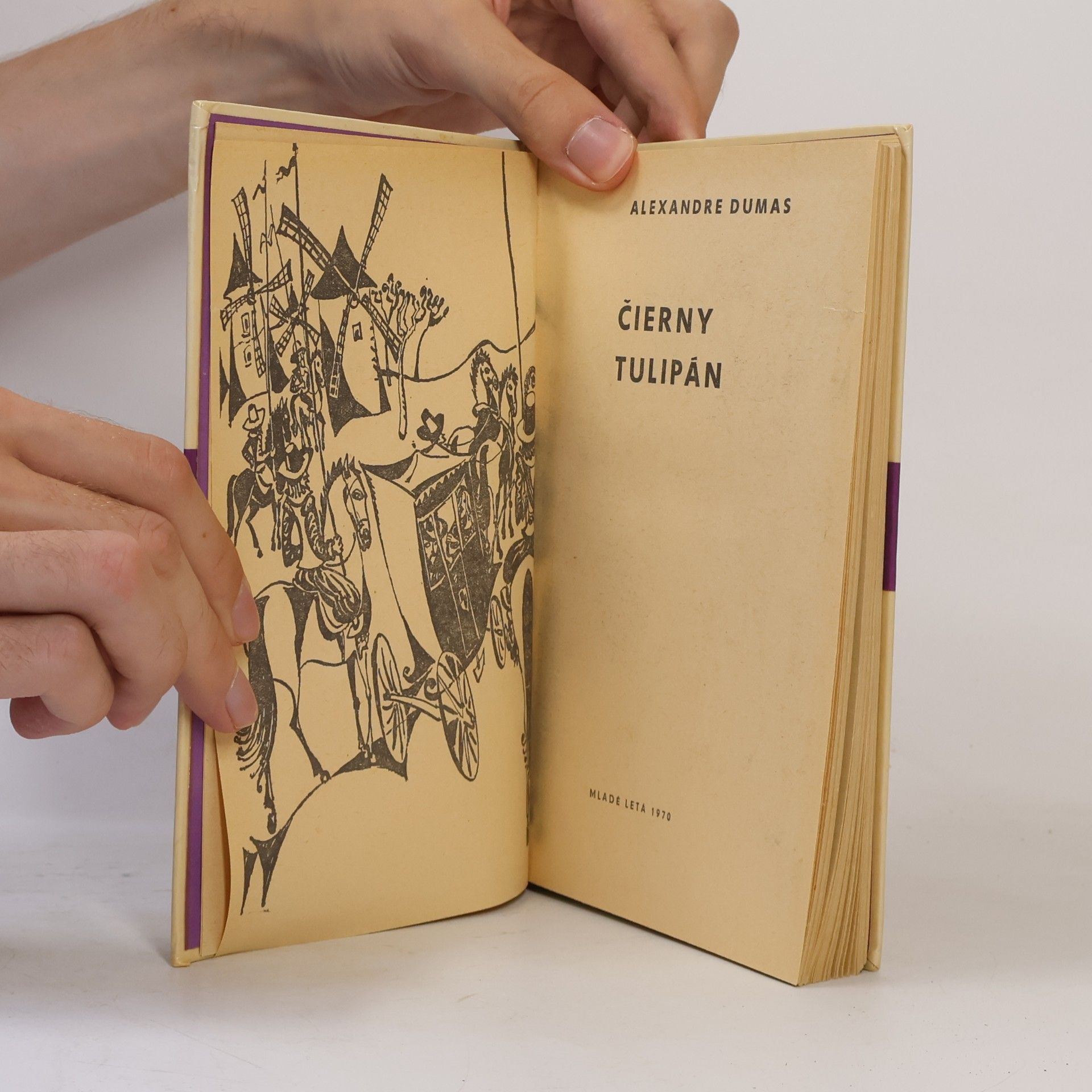 Alexandre Dumas Čierny tulipán