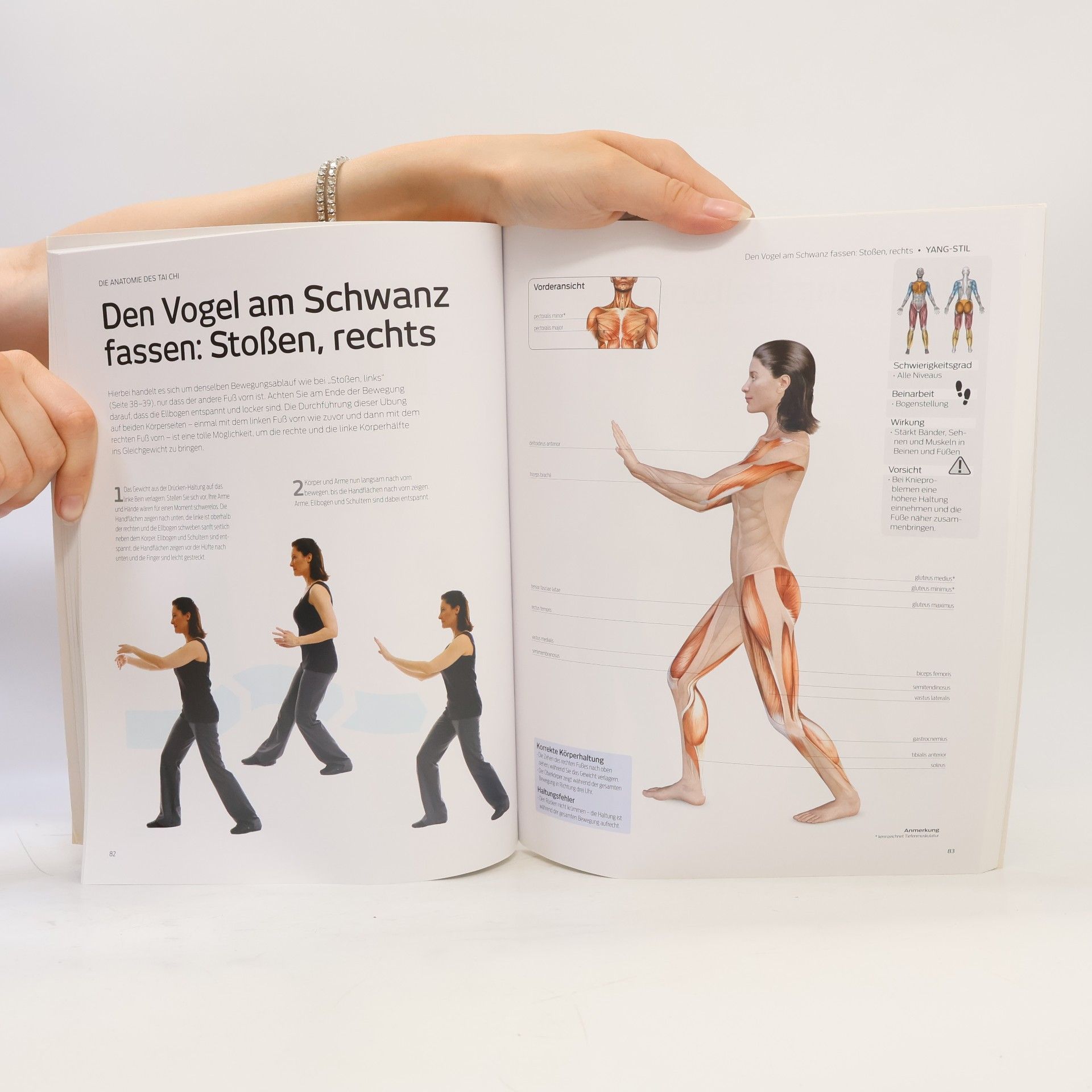 Loretta Wollering Die Anatomie des Tai Chi