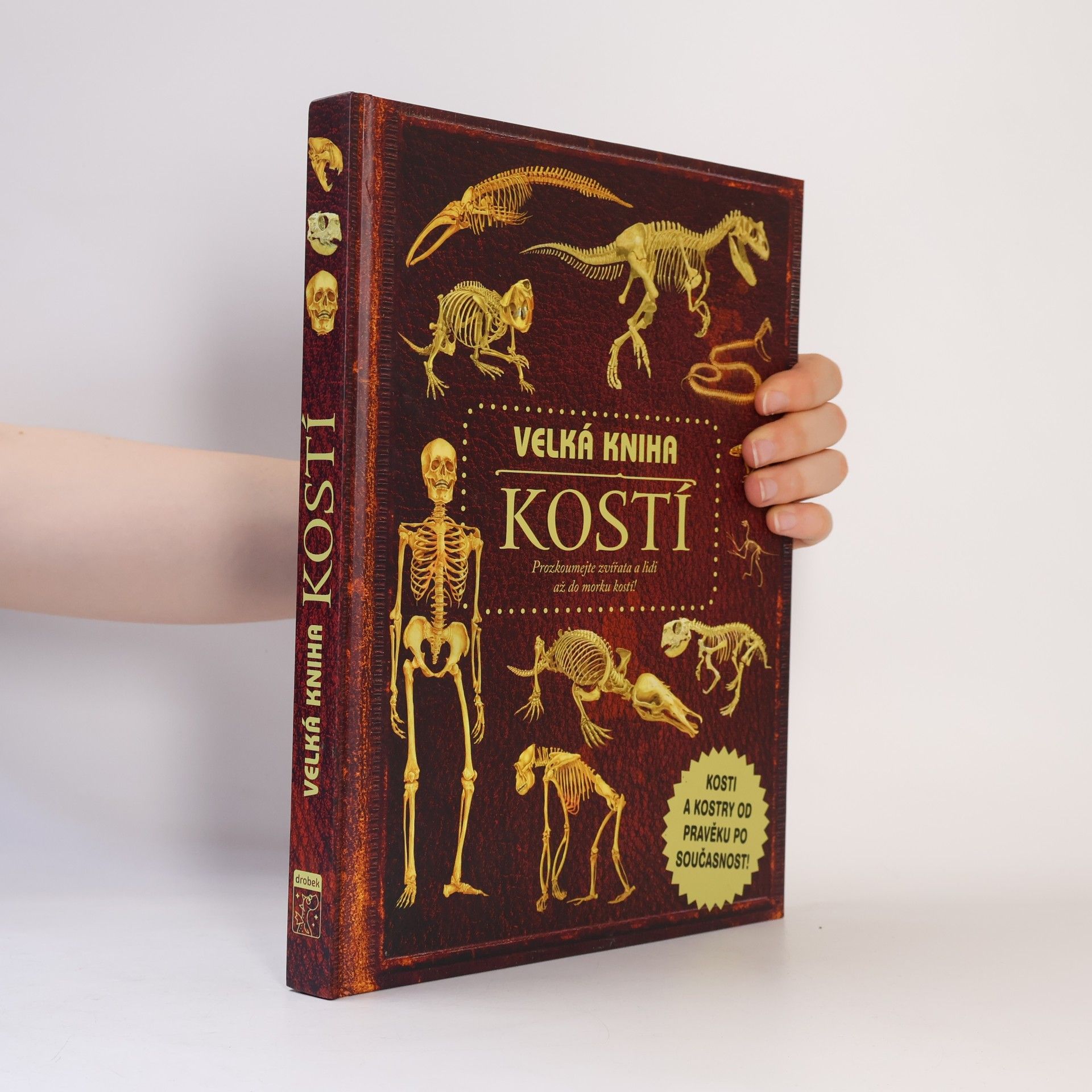 Petr Kotouš Velká kniha kostí