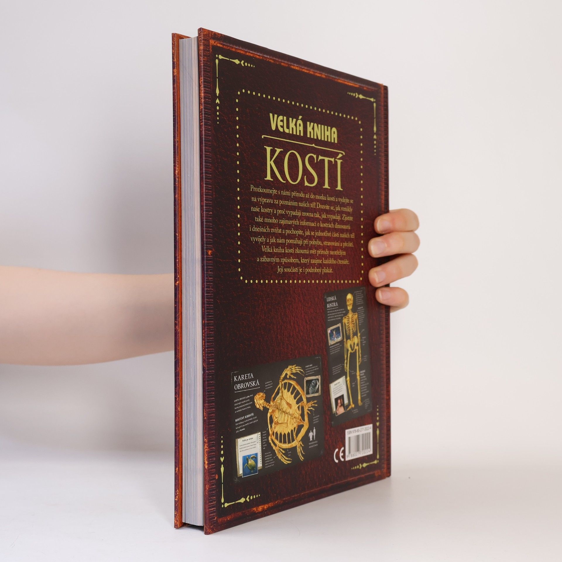Petr Kotouš Velká kniha kostí