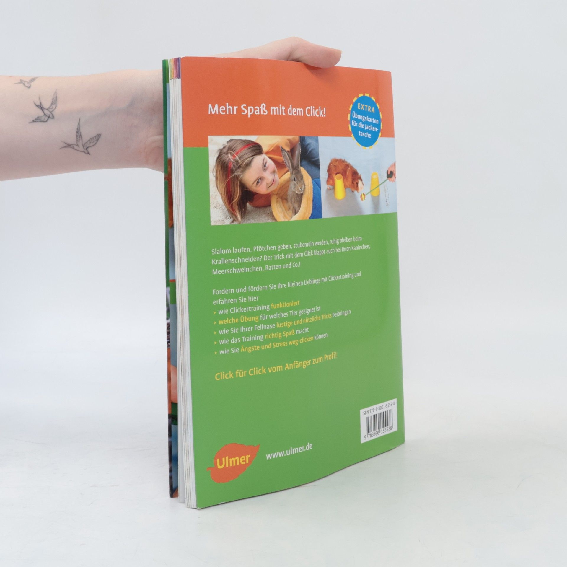 Isabel Müller Clickertraining für Kaninchen, Meerschweinchen & Co.