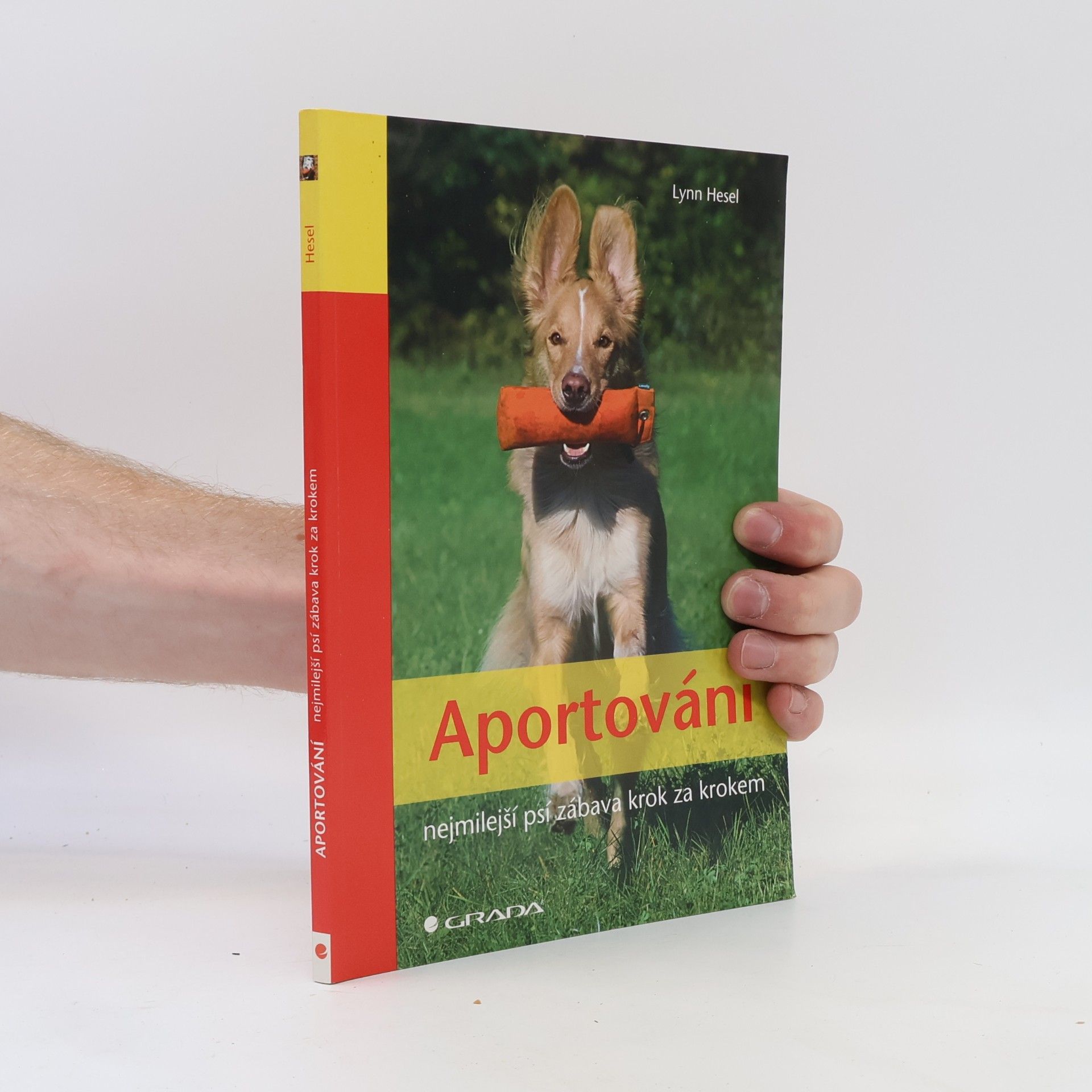 Lynn Hesel Aportování